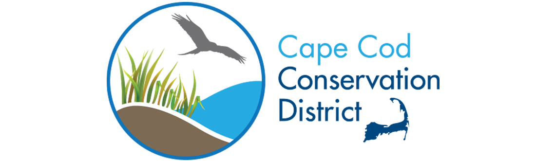 logo-2.png