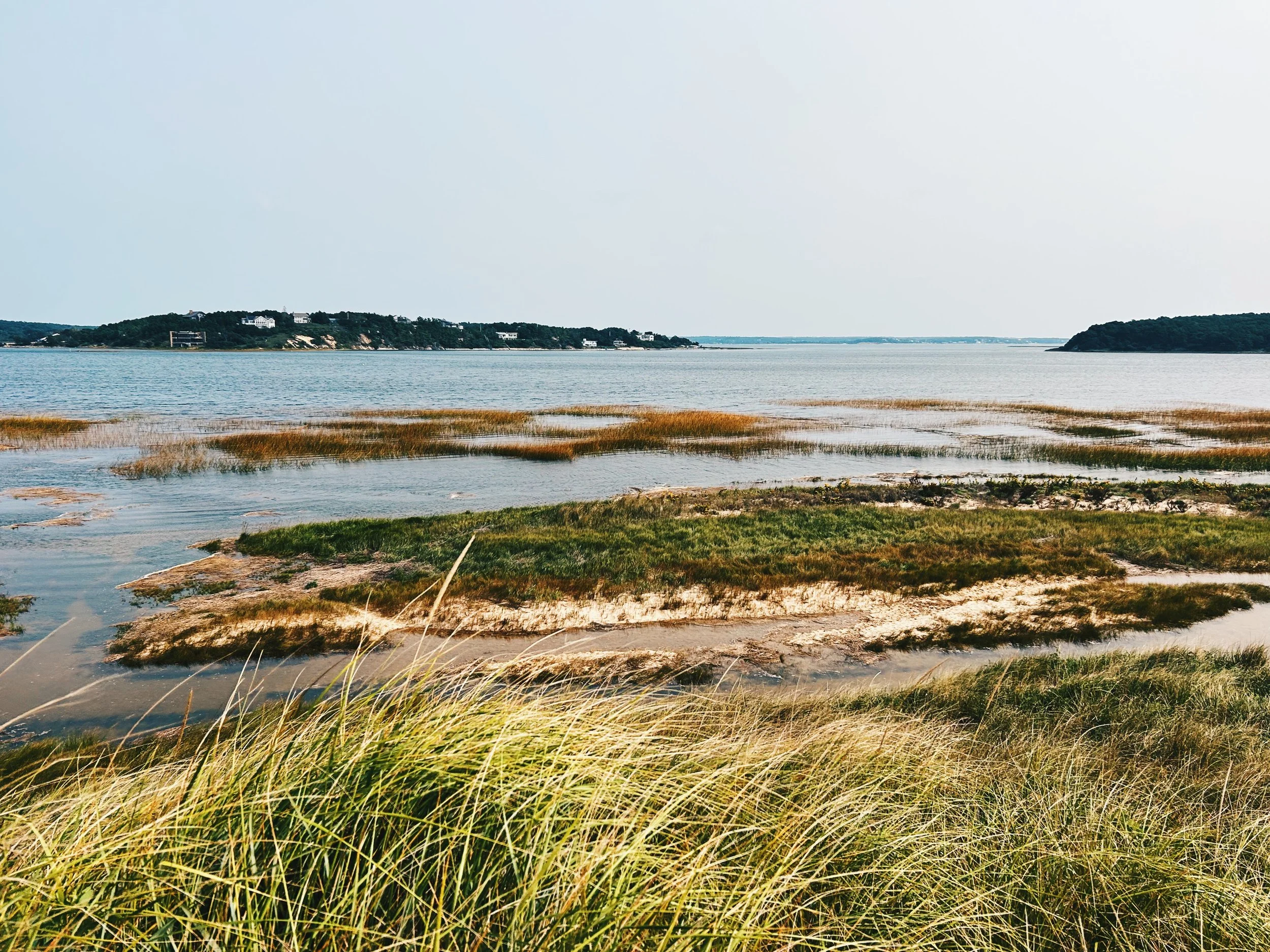 cape cod.jpg