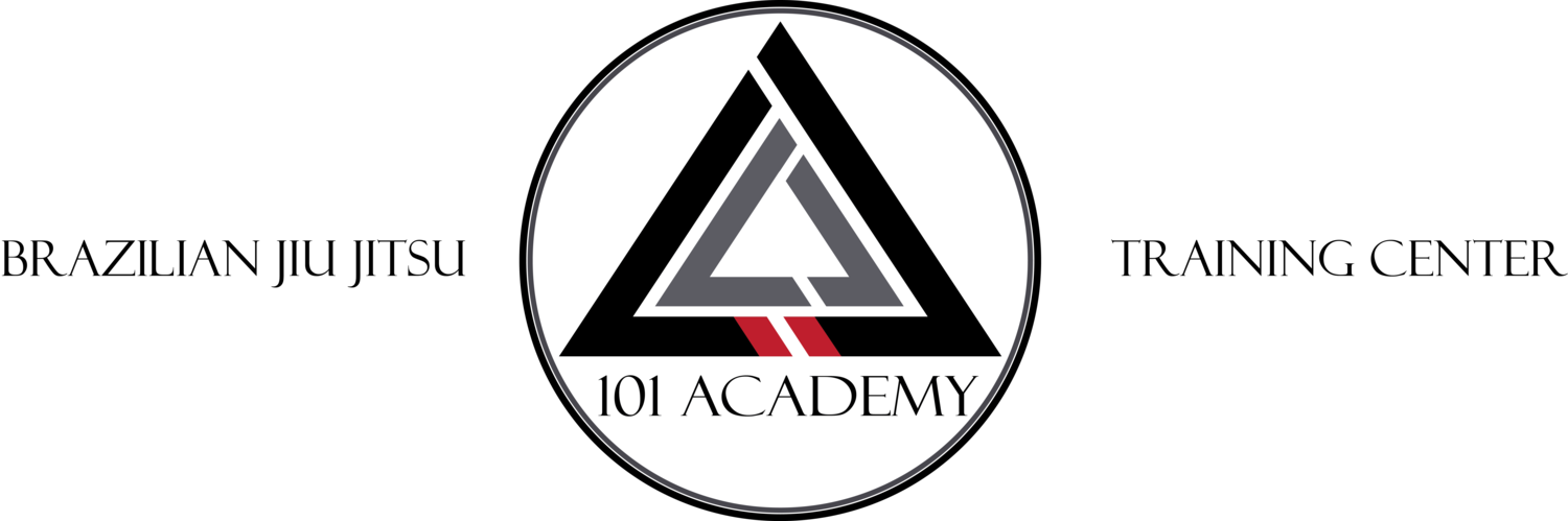 101 Academy 