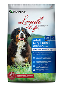 40 Loyall Large Breed Lamb and Rice copy.jpg