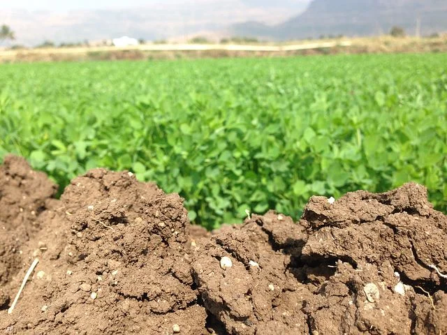 farm-2074107__480.jpg