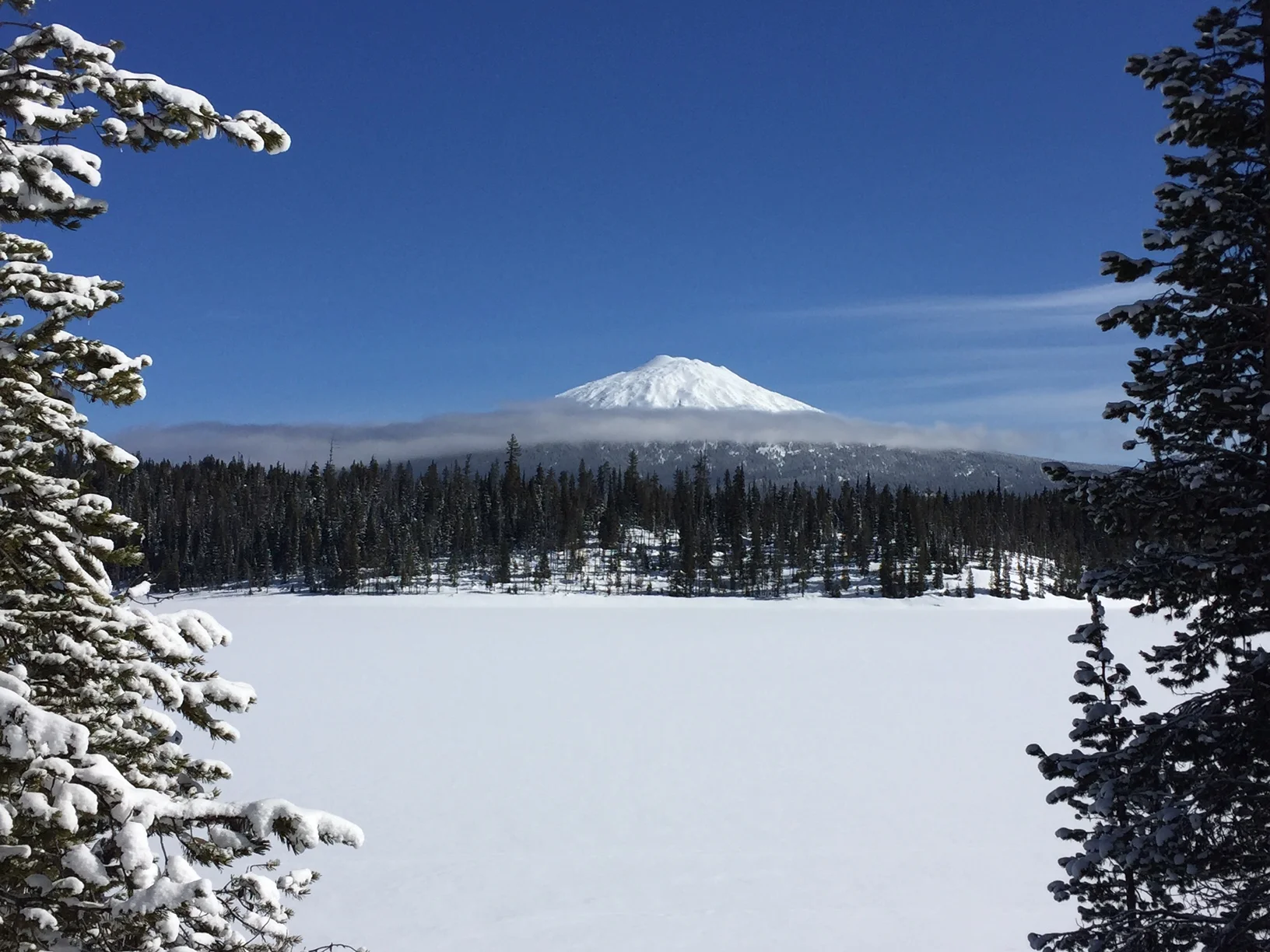 Mt Bachelor in winter.JPG