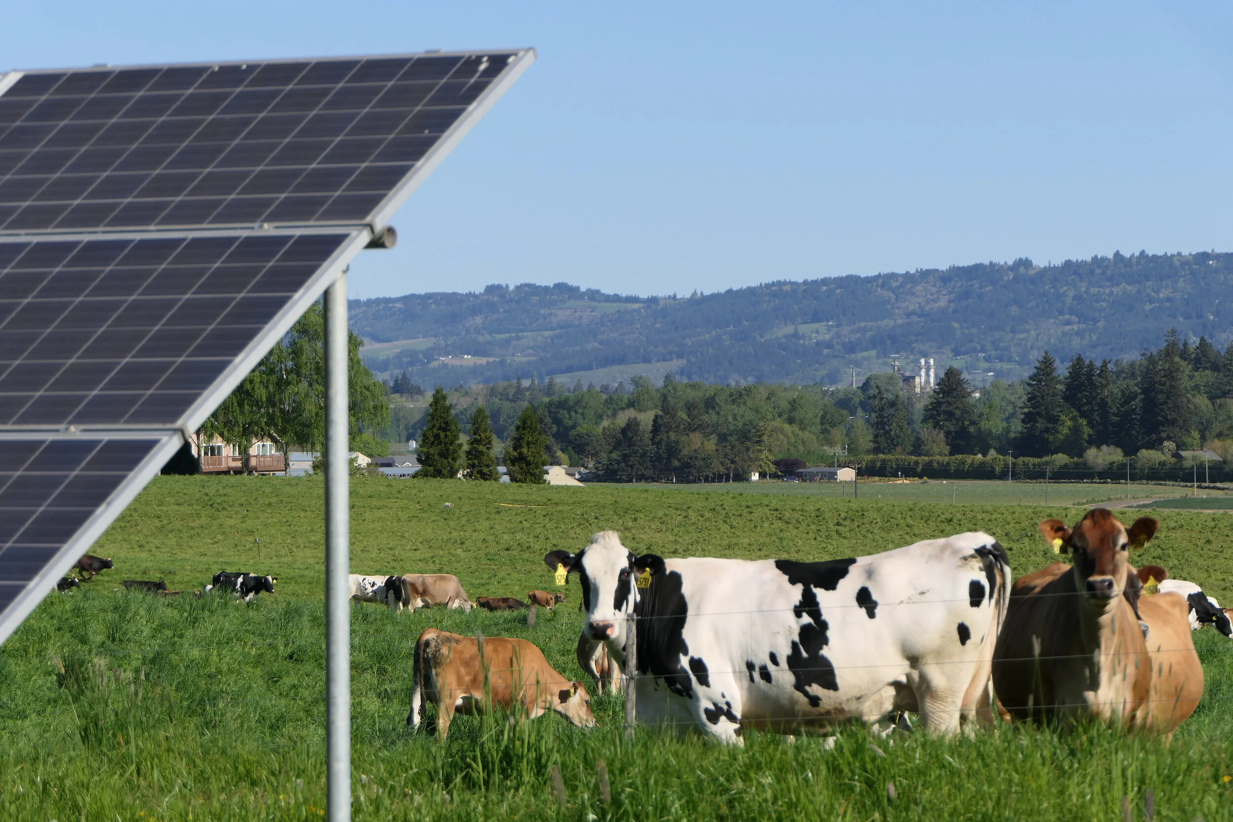 Share Your Views on the Commission's Next Biennial Report