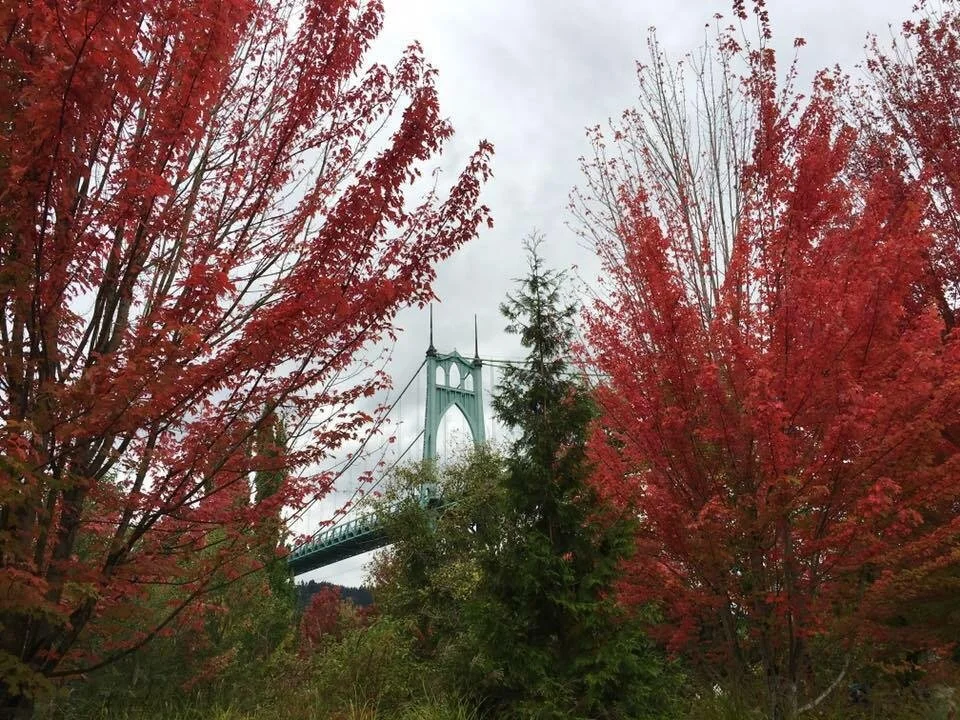 Oregon Global Warming Commission to Meet Virtually November 23