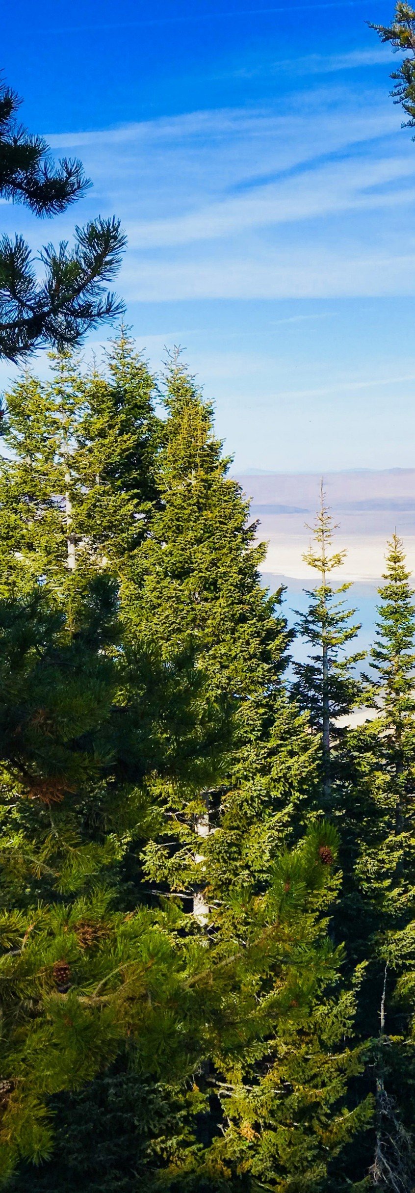 ODOE to Release Draft Land-Based Net Carbon Inventory Report with Webinar, Comment Period 