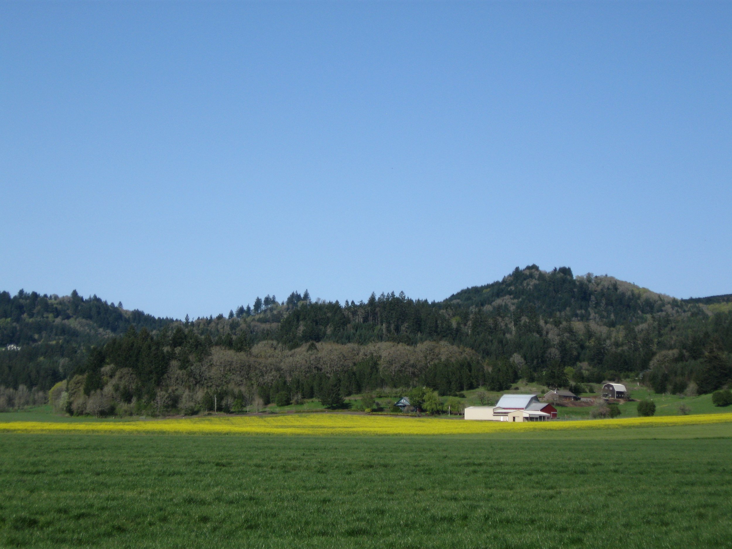 ODOE Draft Report on Natural Climate Solutions Workforce Needs Available for Public Comment 