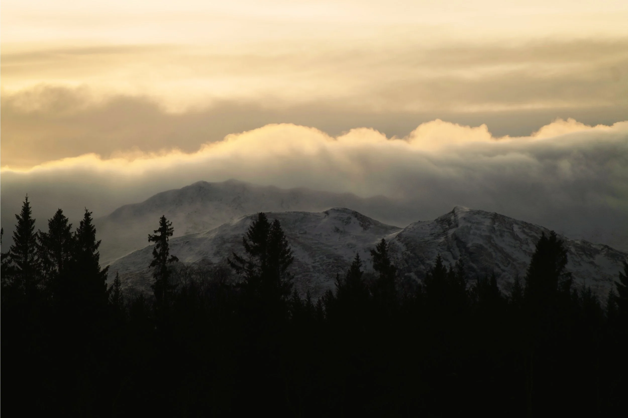 9DA59A94-FD2B-4B4F-B43F-2713C33CD033 2.JPG