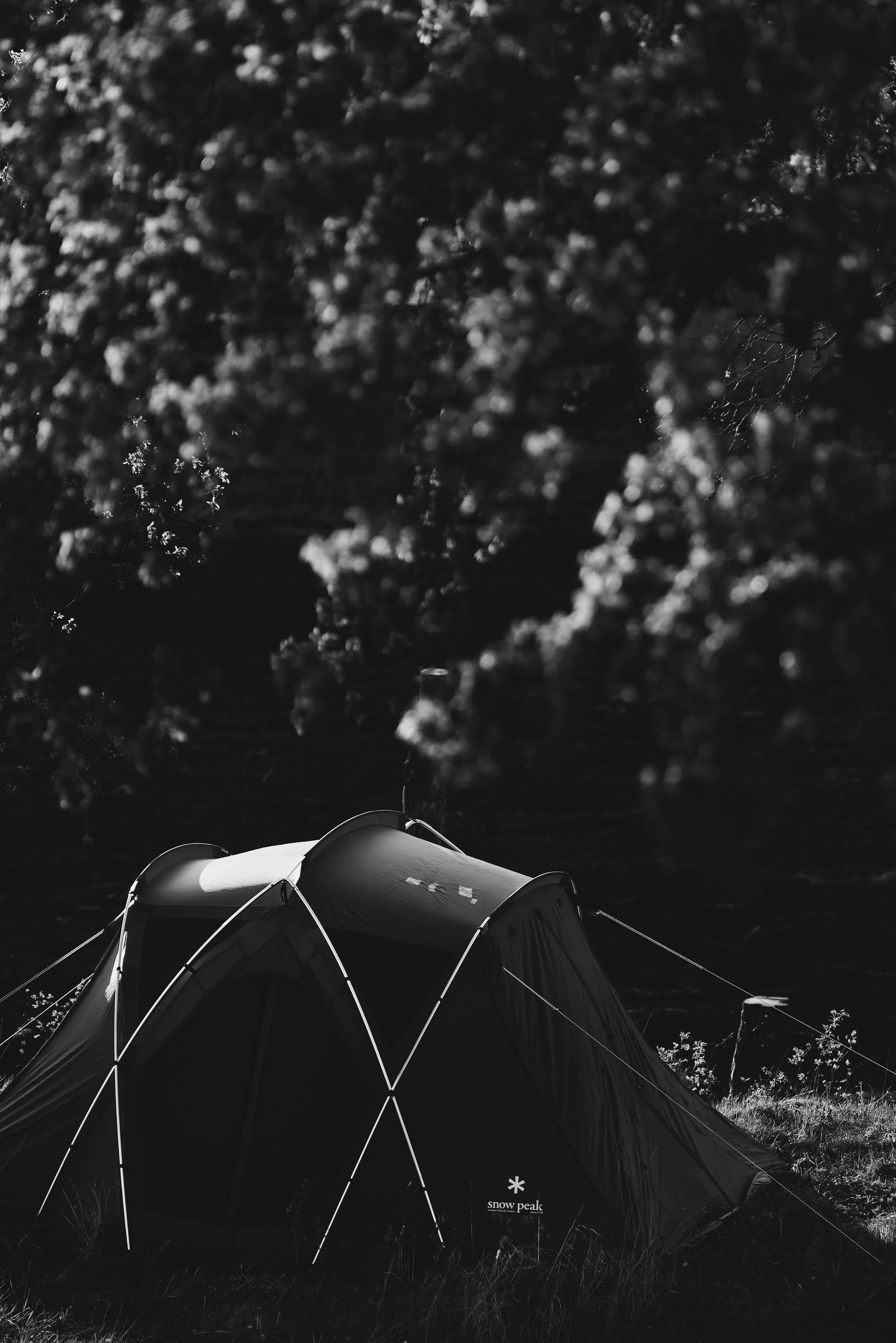 19DA091D-EED2-4CFC-8AF4-A1C972188E63 2.JPG