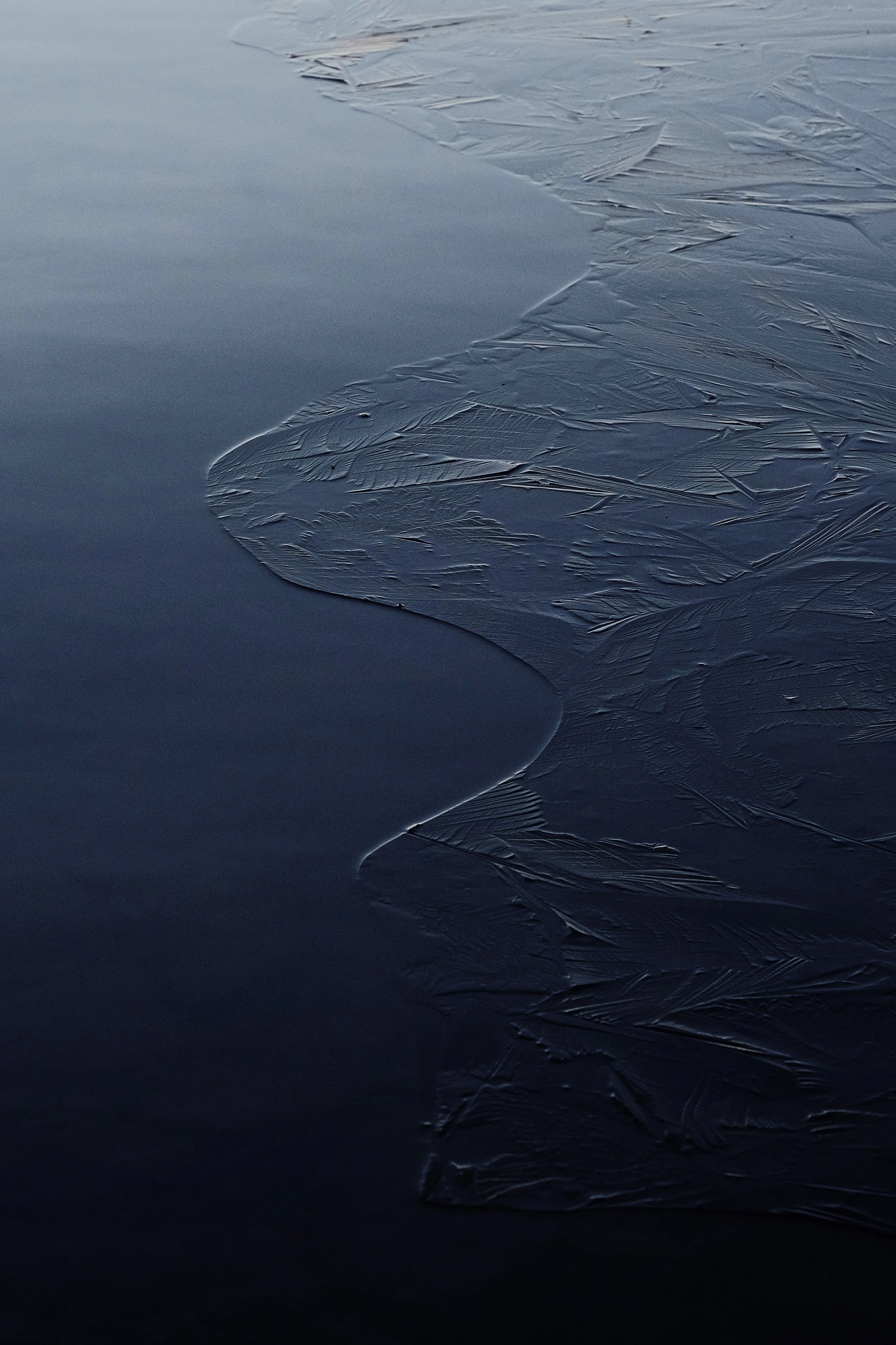 790DD794-0304-4915-A528-91A772A66E39 2.JPG