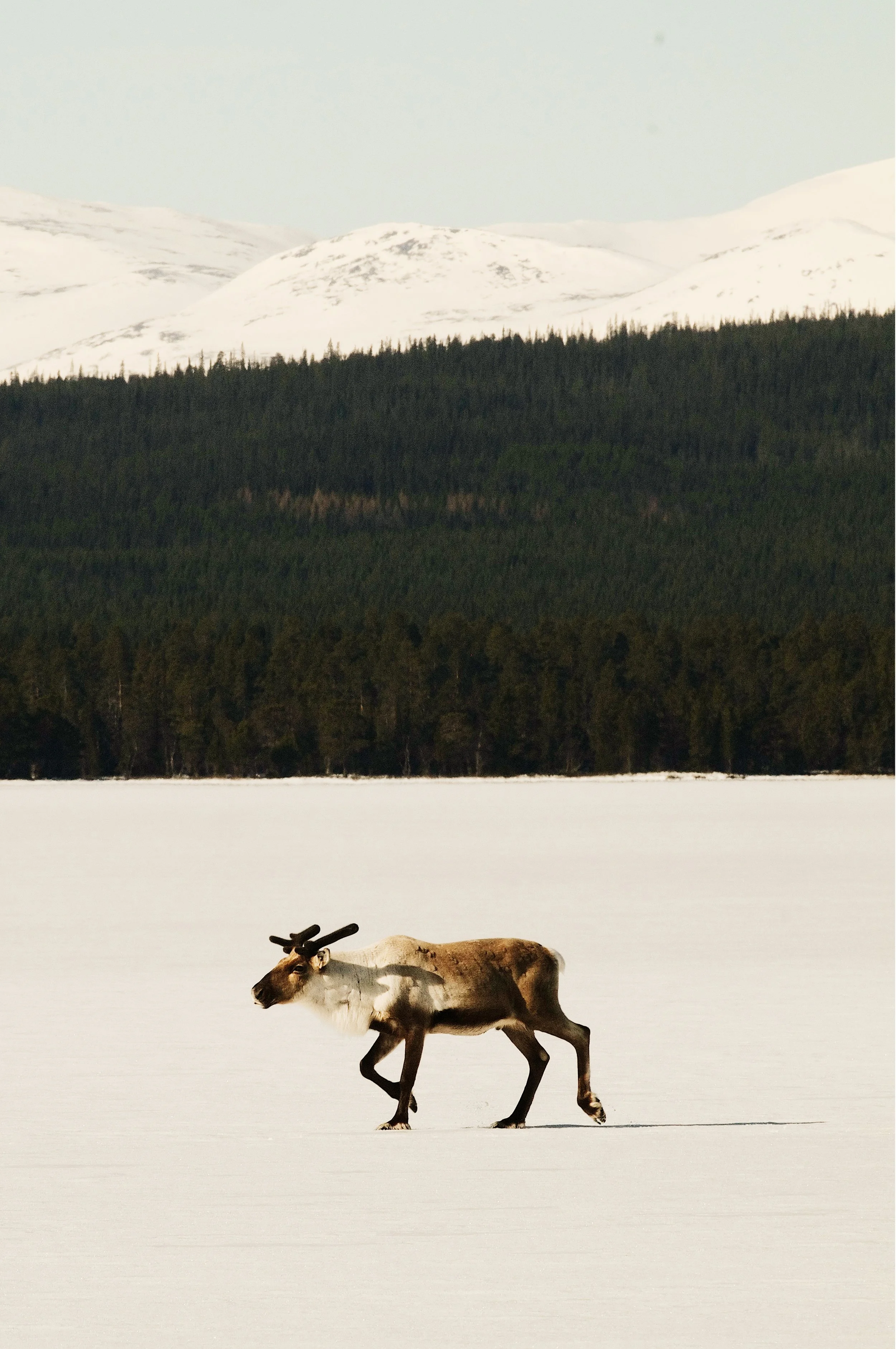 ED638090-DDC1-4060-8C3C-B572FB6DD48F 2.JPG