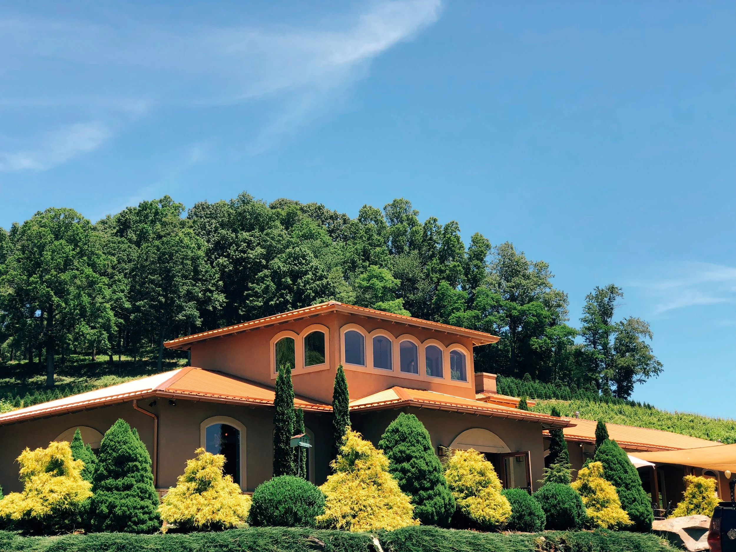 Tasting Room on Sunny day.jpg
