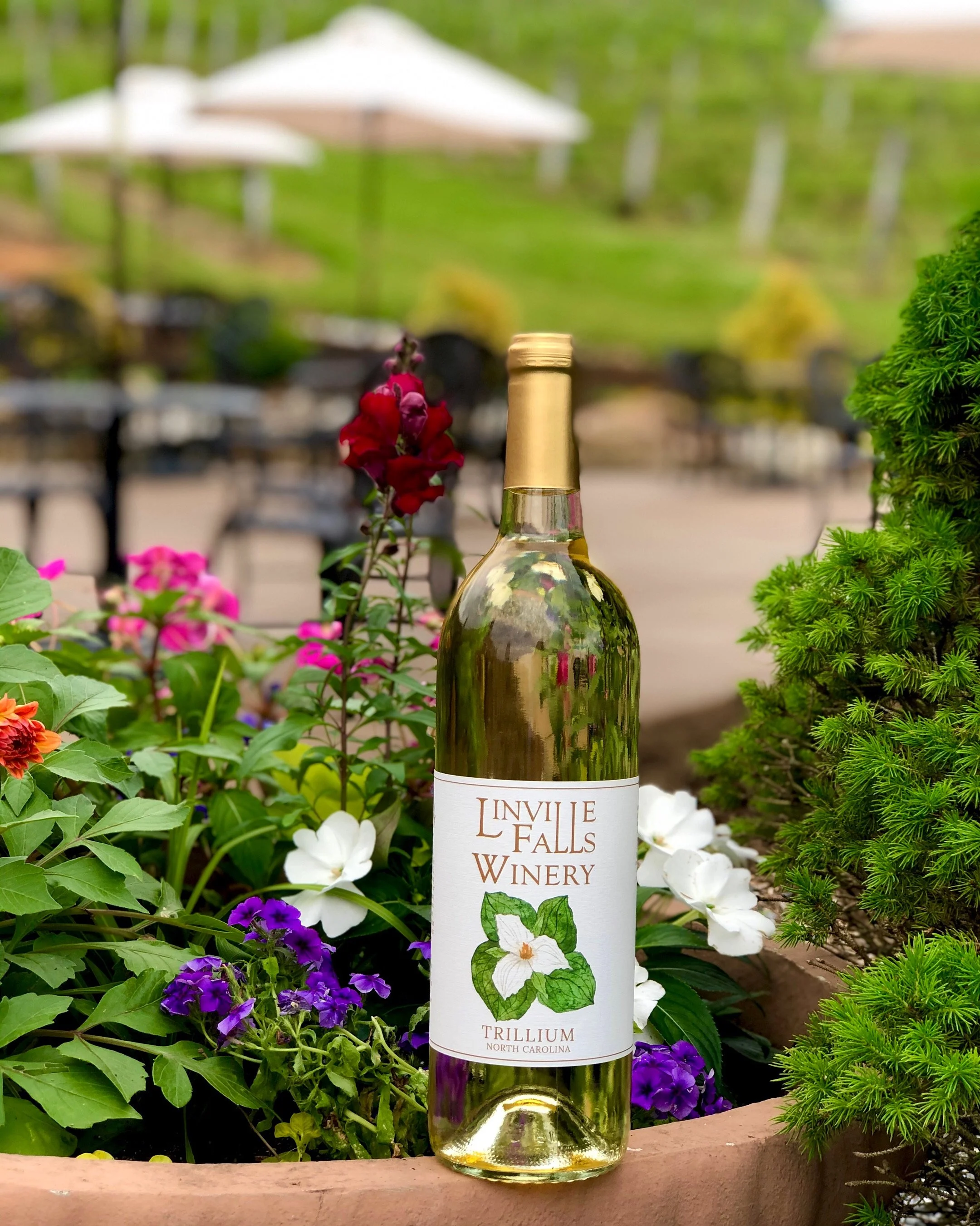 Wine Descriptions — Linville Falls Winery