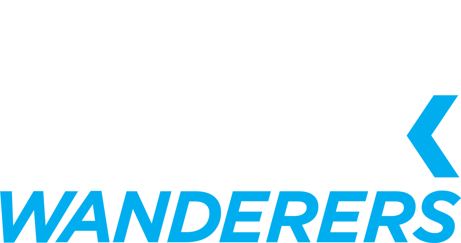 The Bronx Wanderers