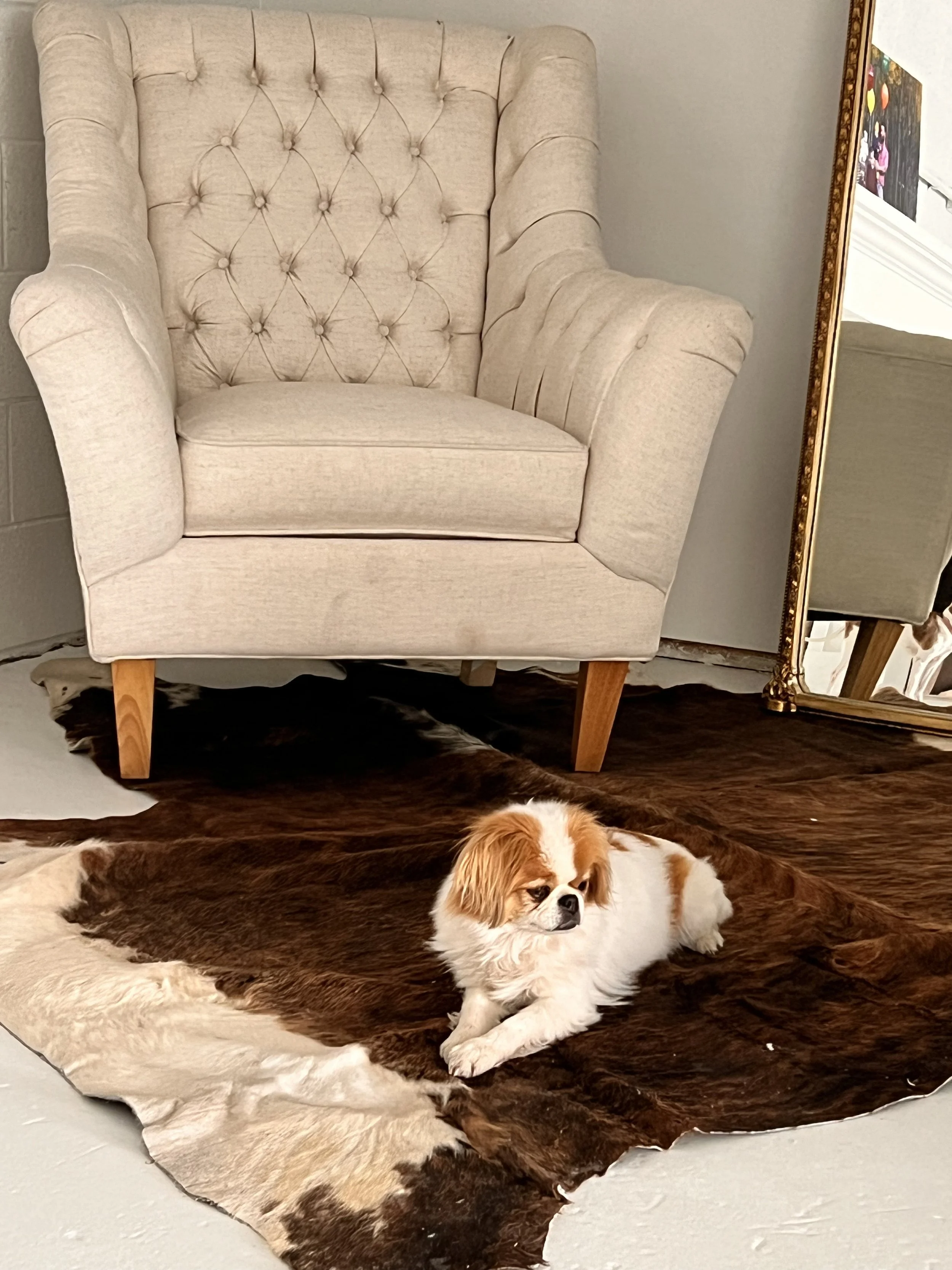 July Feature: Denise with her Puppy Rocky at the studio