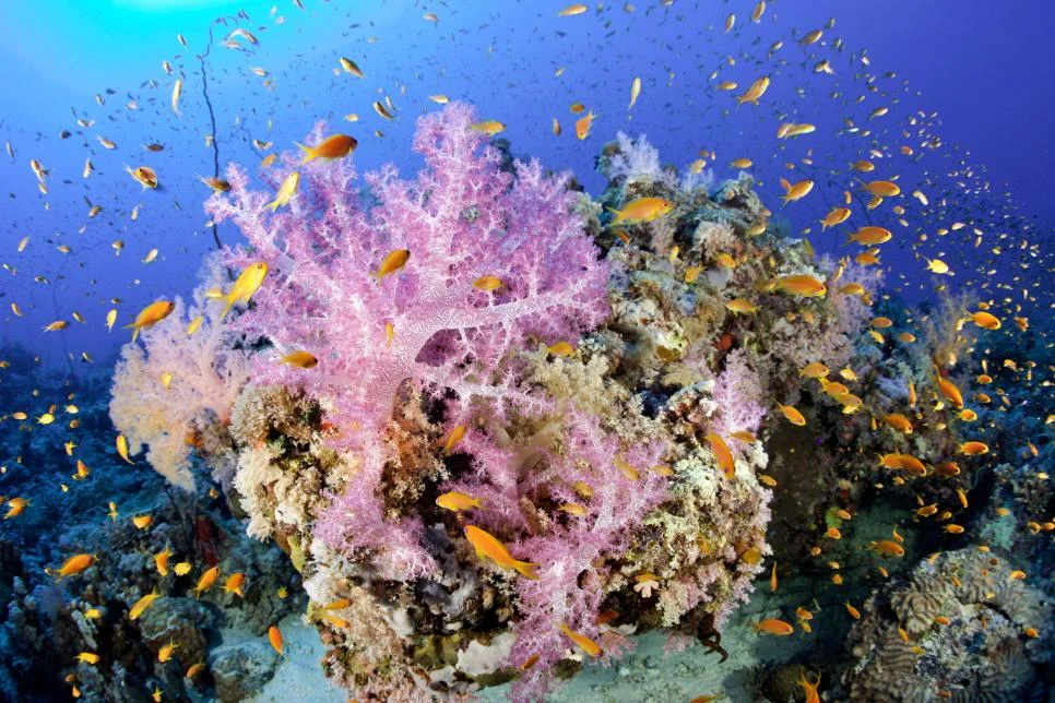 10 New UNESCO World Heritage Sites