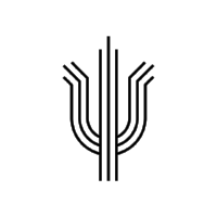 profile-cactus.png