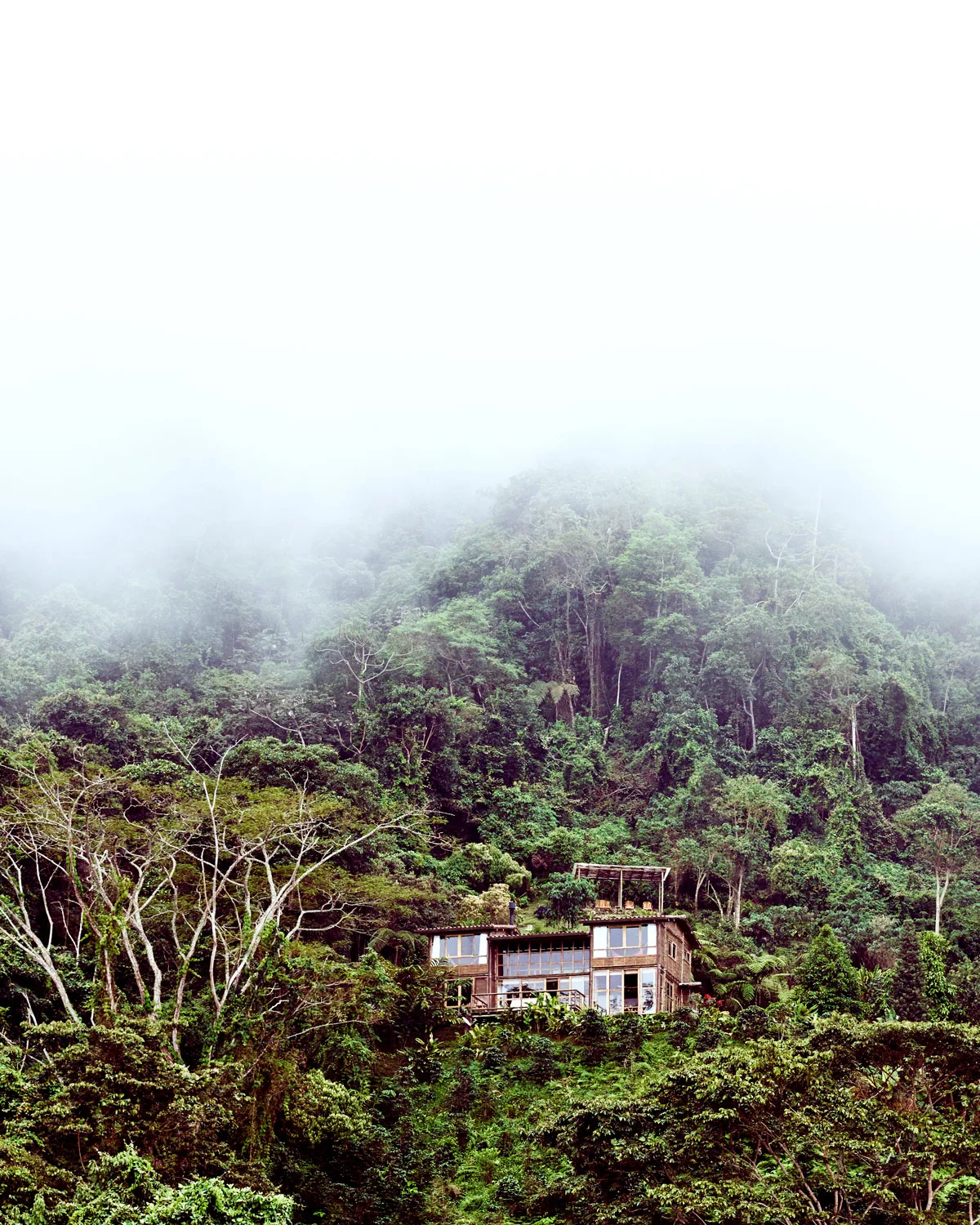 1705-PAOLA+MURRAY-CNT-COLOMBIA-18.jpg