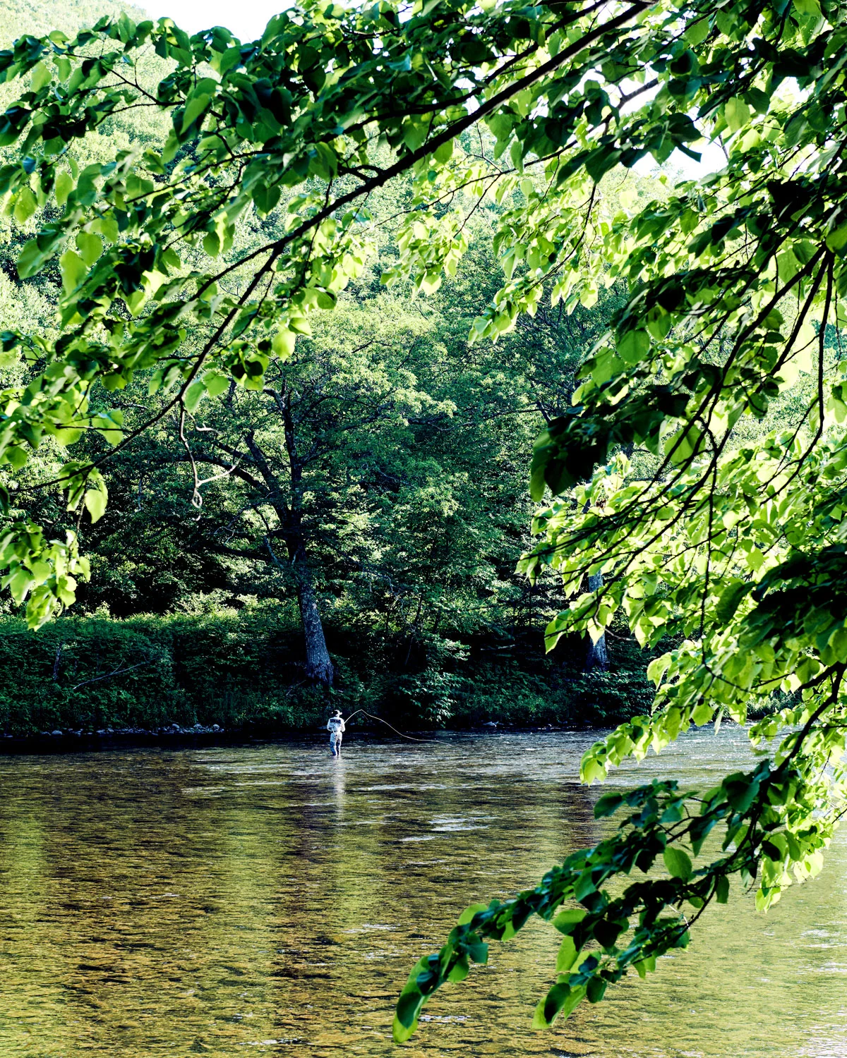 1806-PAOLA+MURRAY-TWSJ-UPSTATE-NY04.jpg