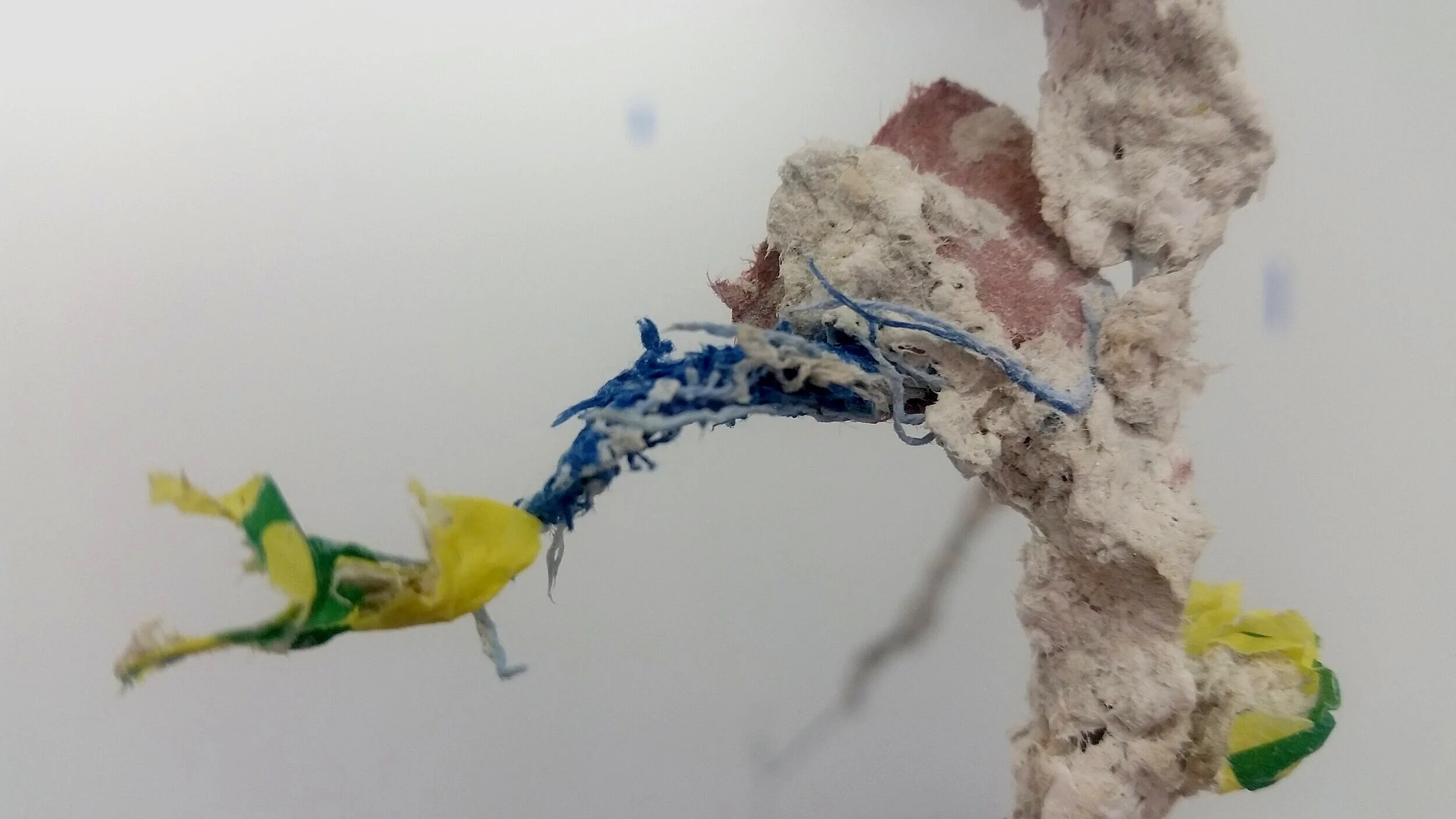 Heather%2BHarvey%2B-%2BOrder%2Bof%2BThings%2B04%2B-2019