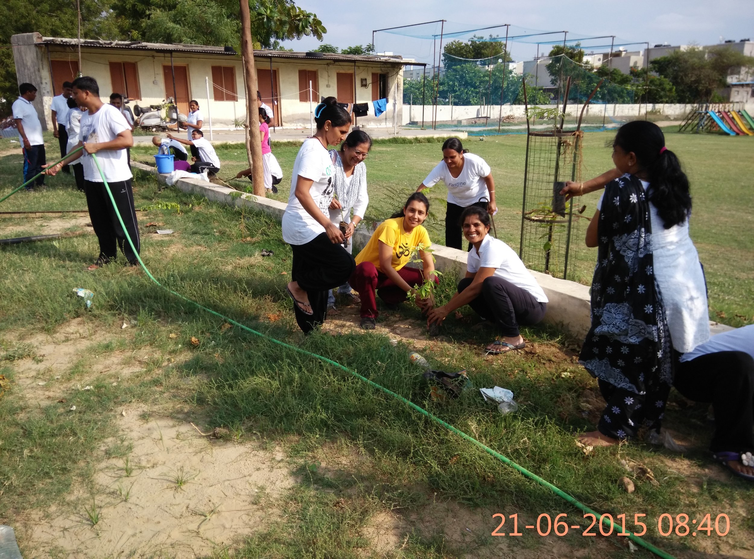 Tree Plantation Camp on International Day of Yoga , Jun 2015