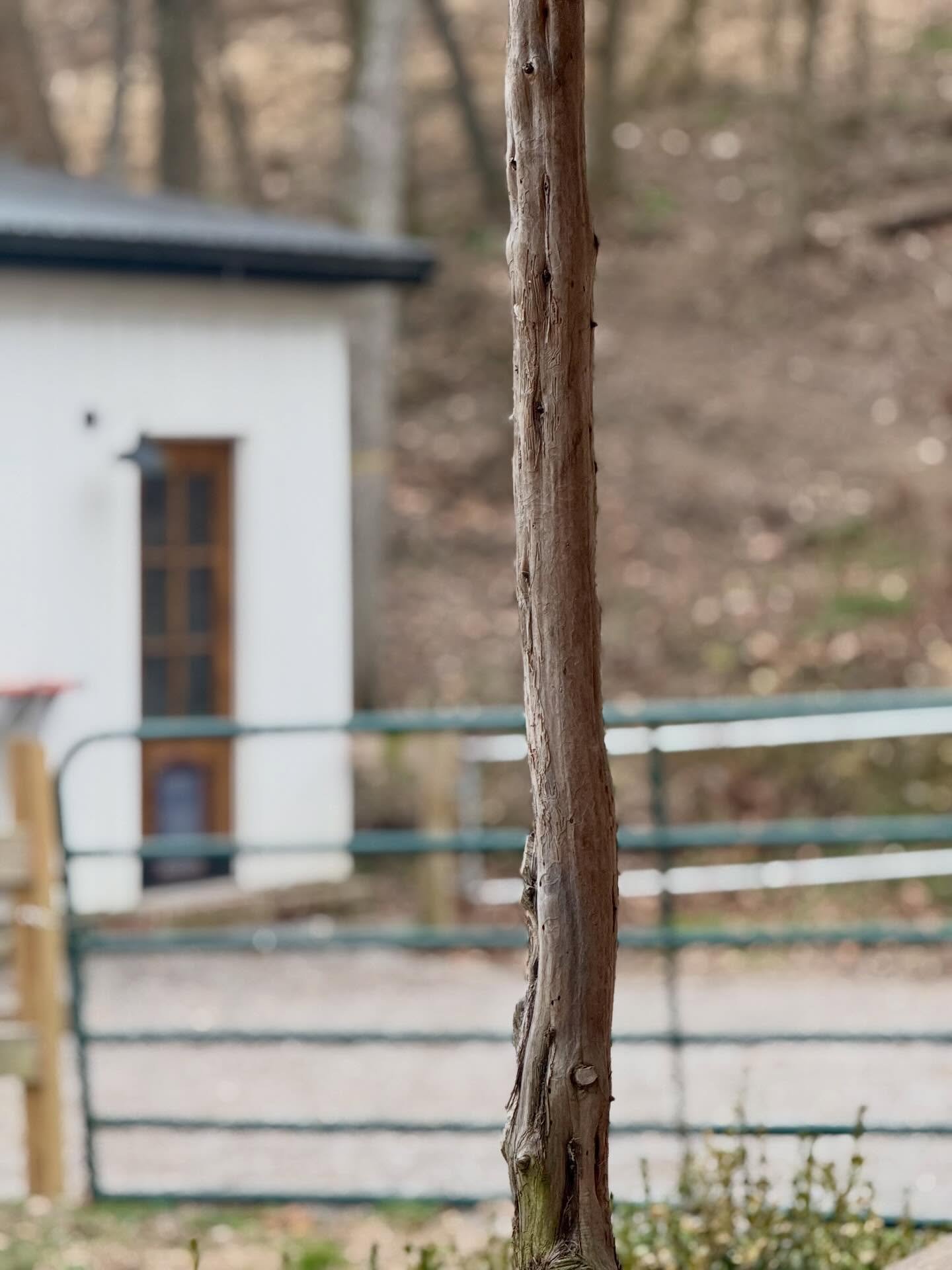 Here&rsquo;s my post for today.