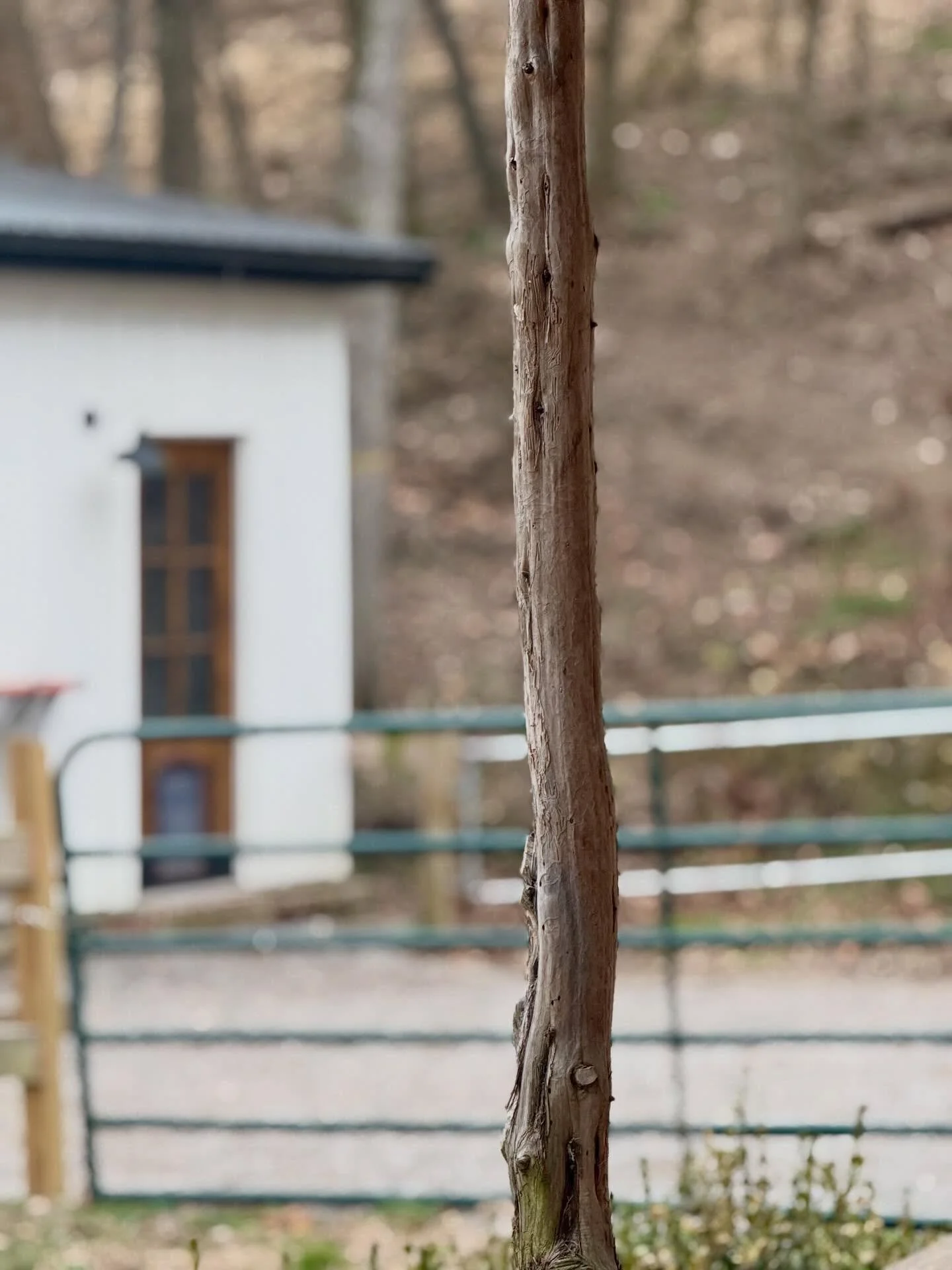 Here&rsquo;s my post for today.