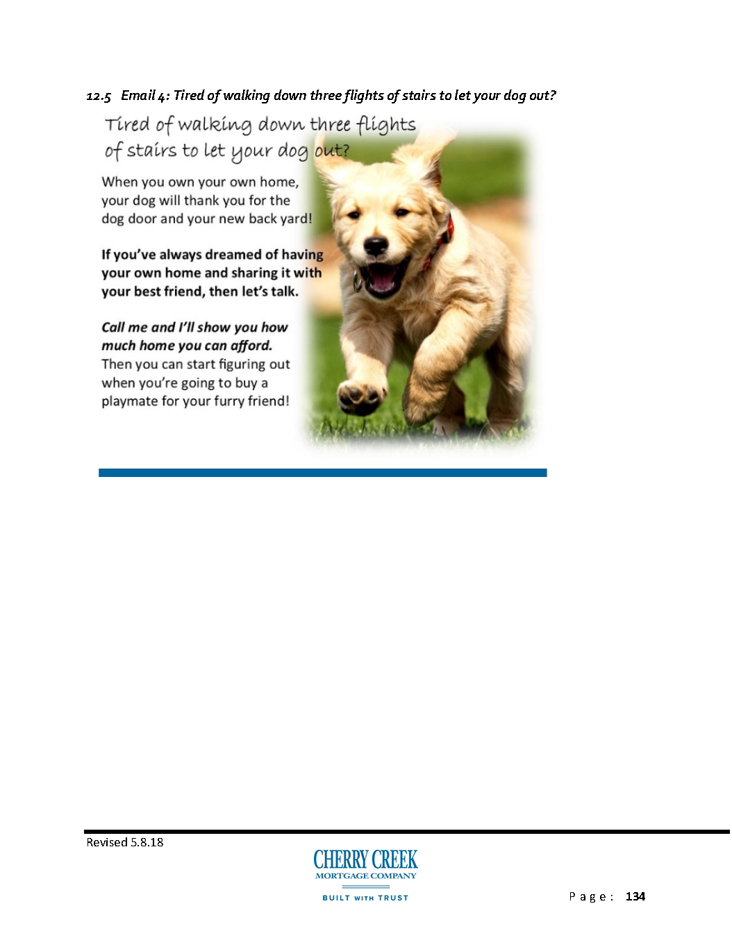 Jungo_Email_Drip_Campaigns-Consumers_D1O6plI_Page_134.png