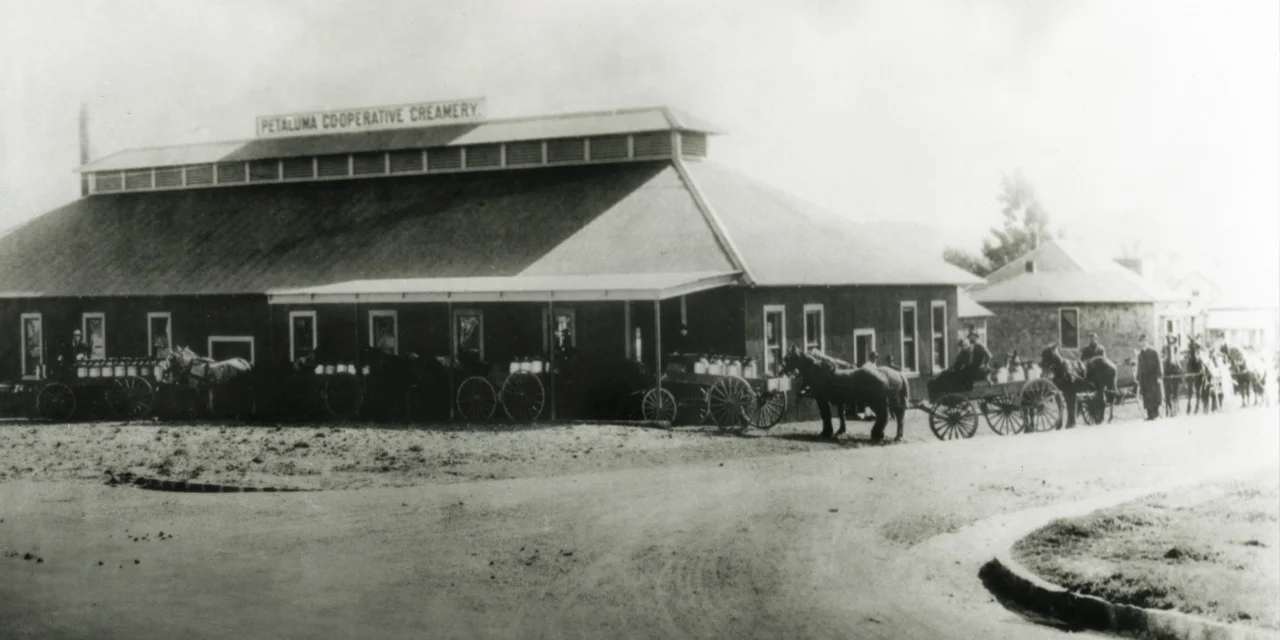 1914.jpg