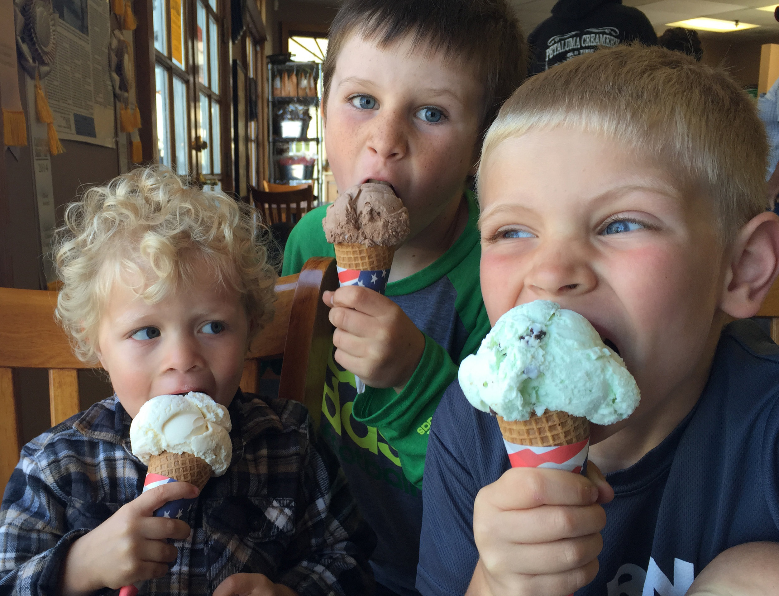 Petaluma Creamery Ice Cream