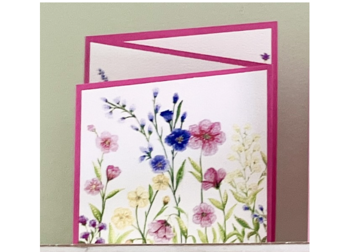 Screenshot 2026-03-06 at 9.20.18 AM.png