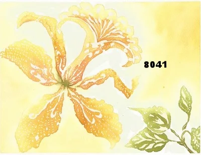 Orchid 8041 Thumbnail.jpeg