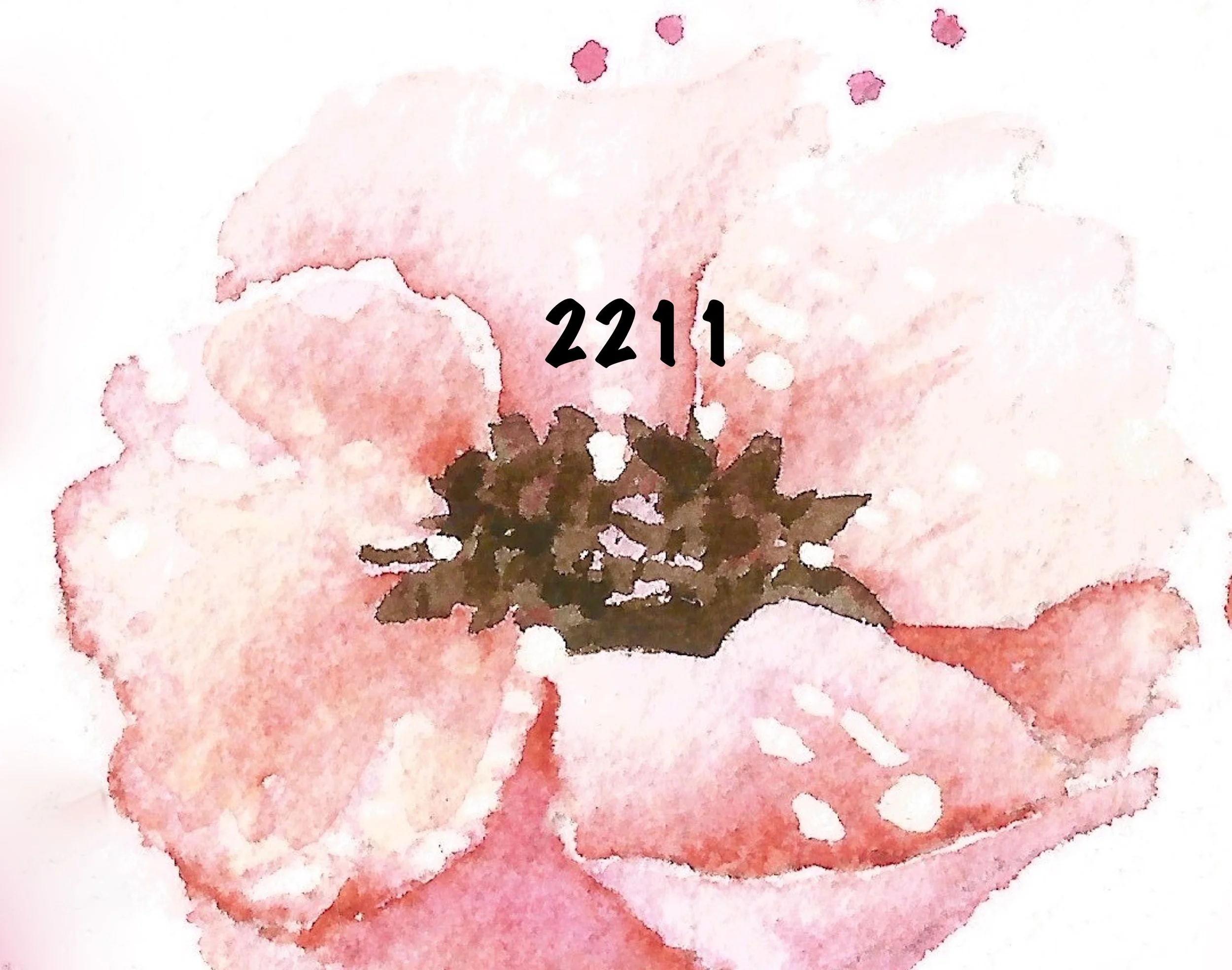 2211 Poppies copy.jpeg