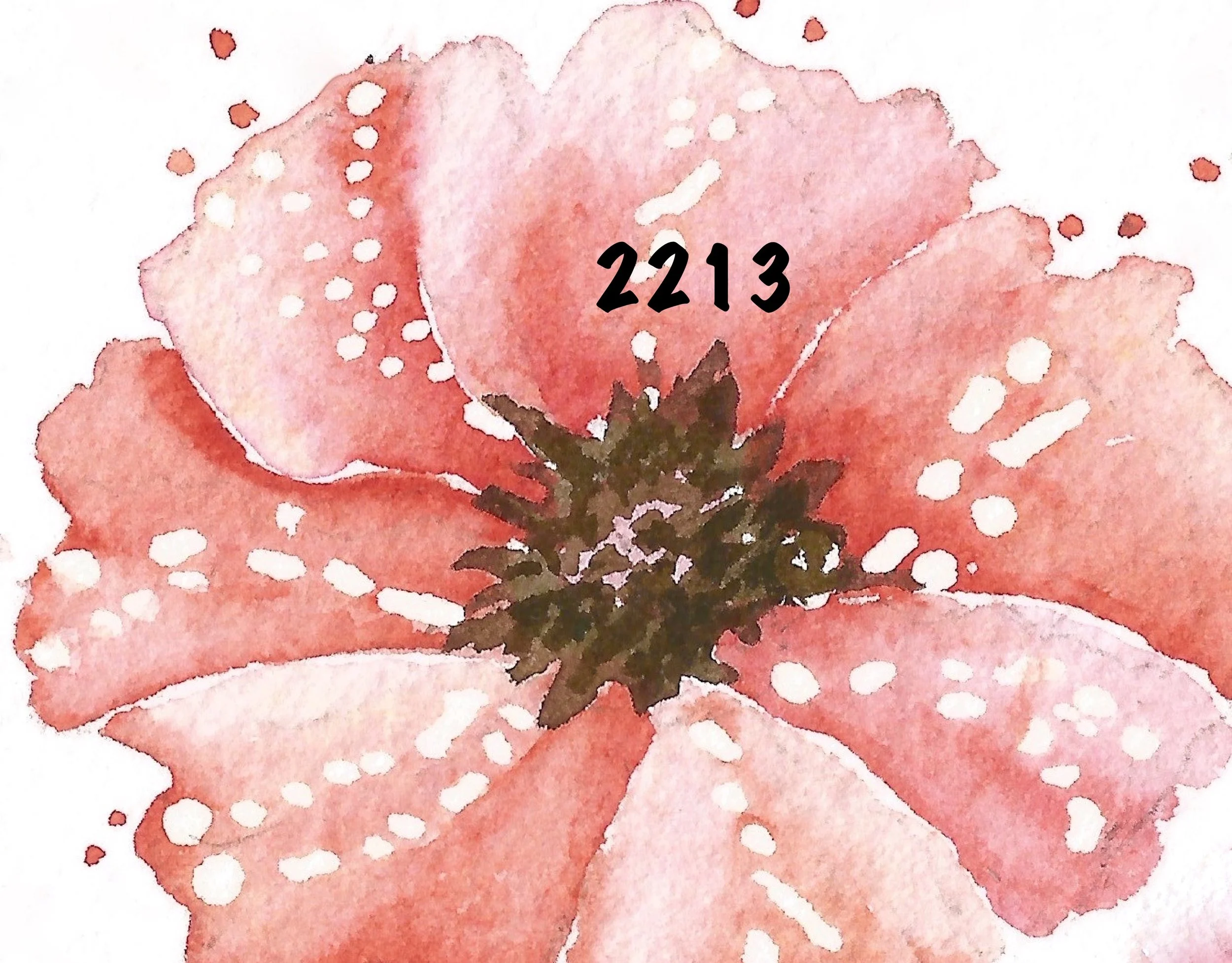 2213 Poppies copy.jpeg