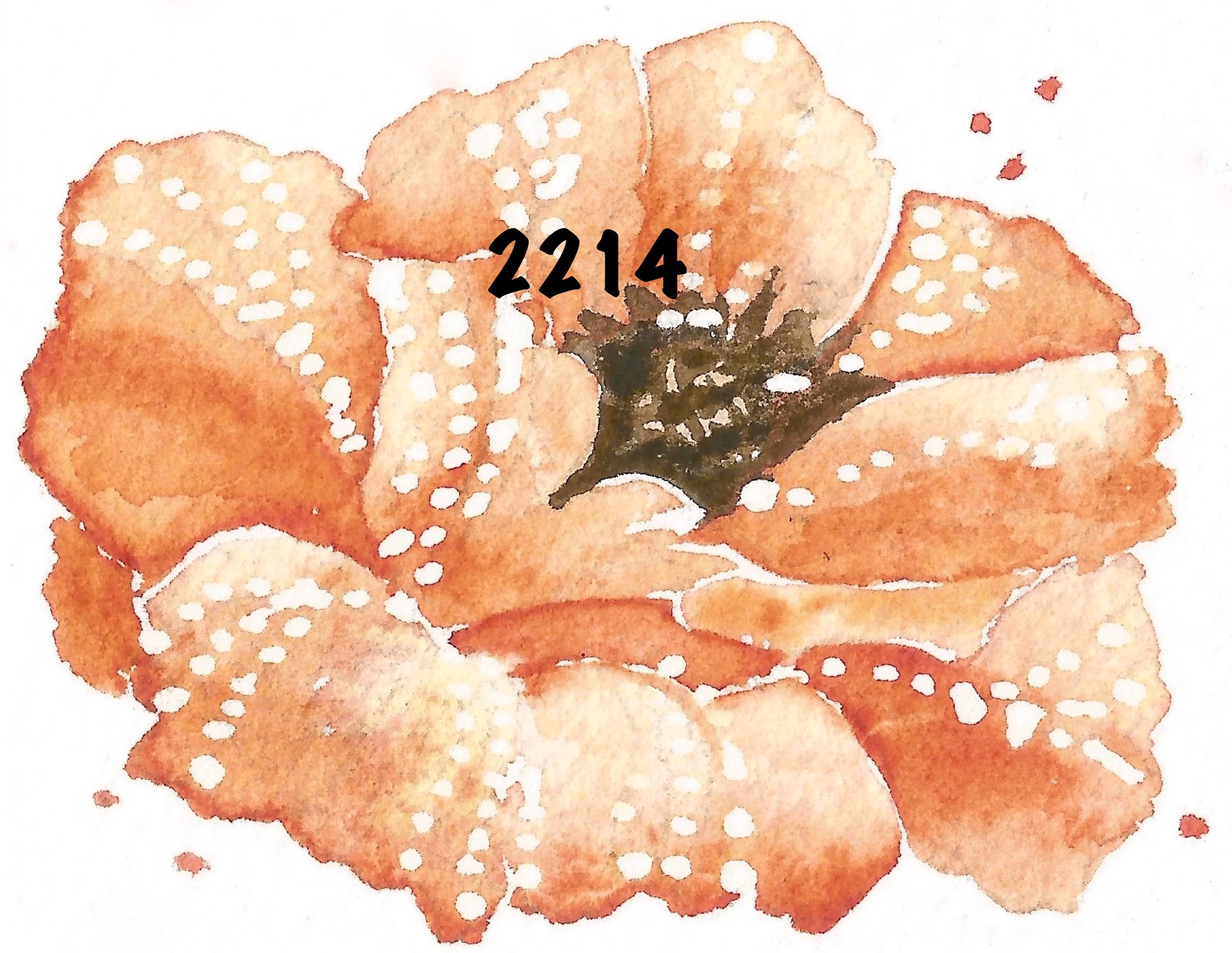 2214 Poppies copy.jpeg