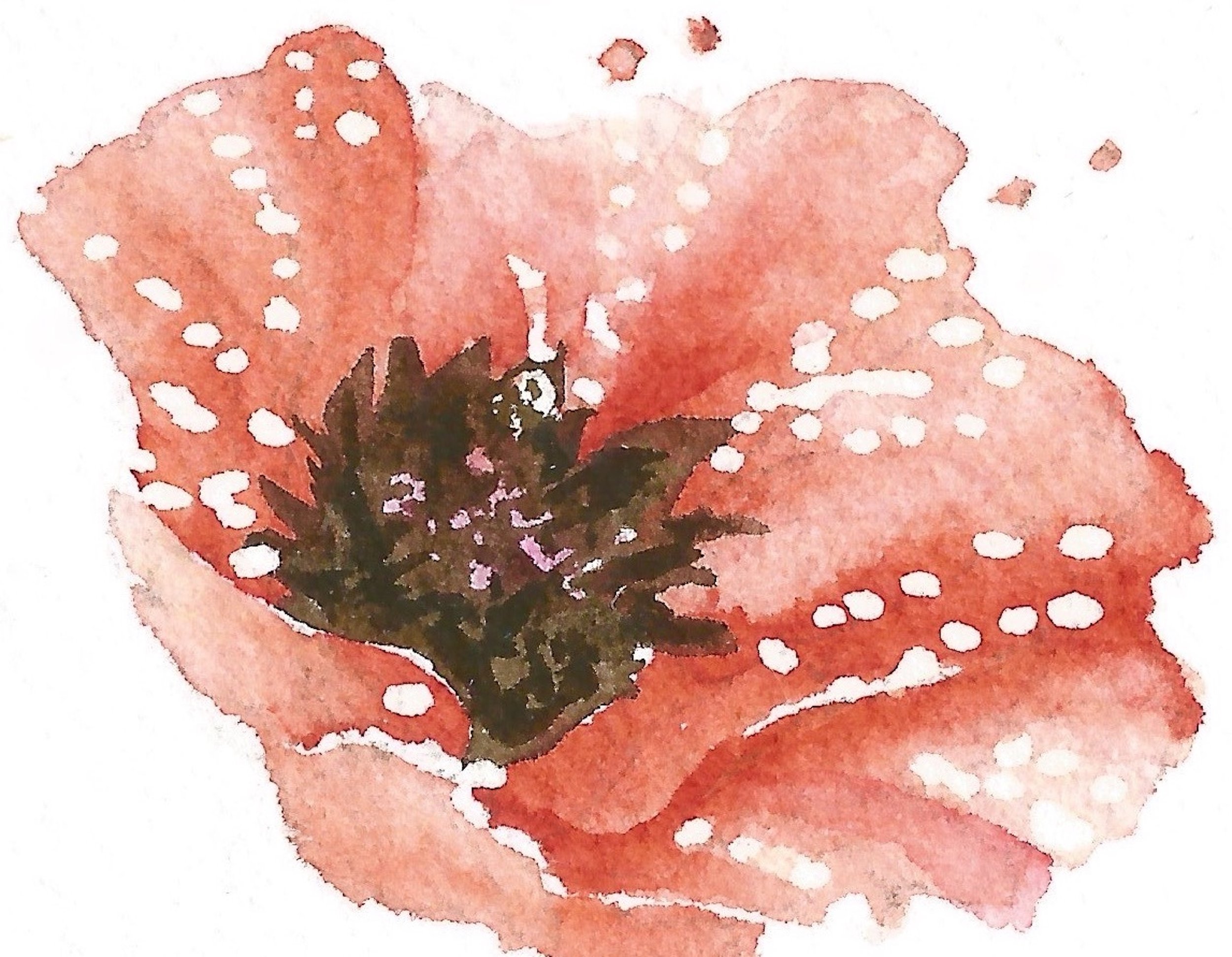 Poppies 2212