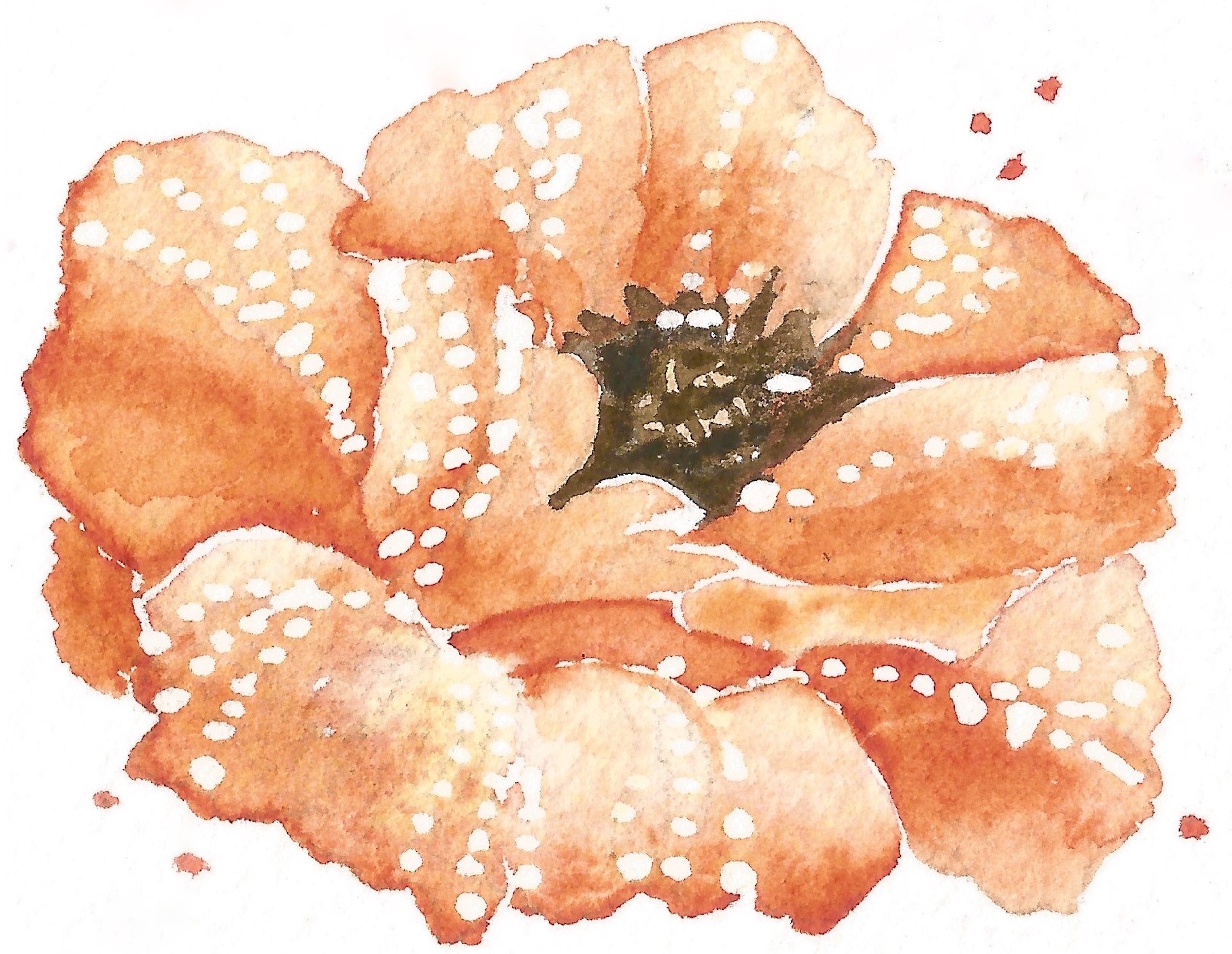 Poppies 2214