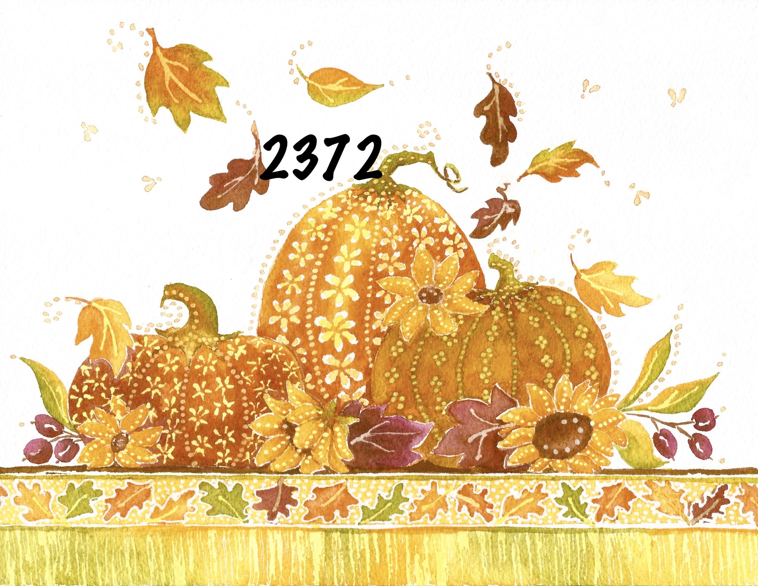 Sunlit 2372 copy.jpeg