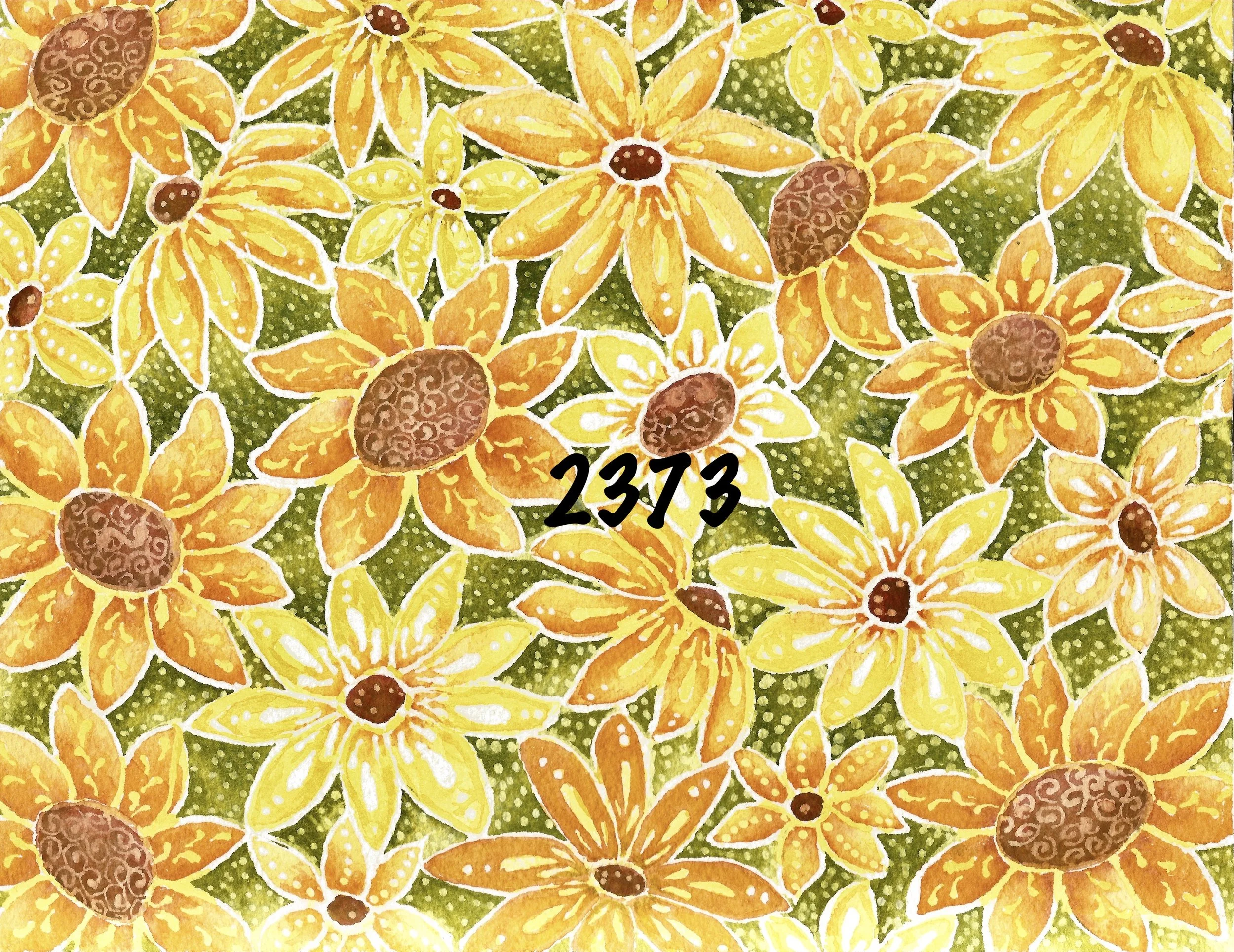 Sunlit 2373 copy.jpeg