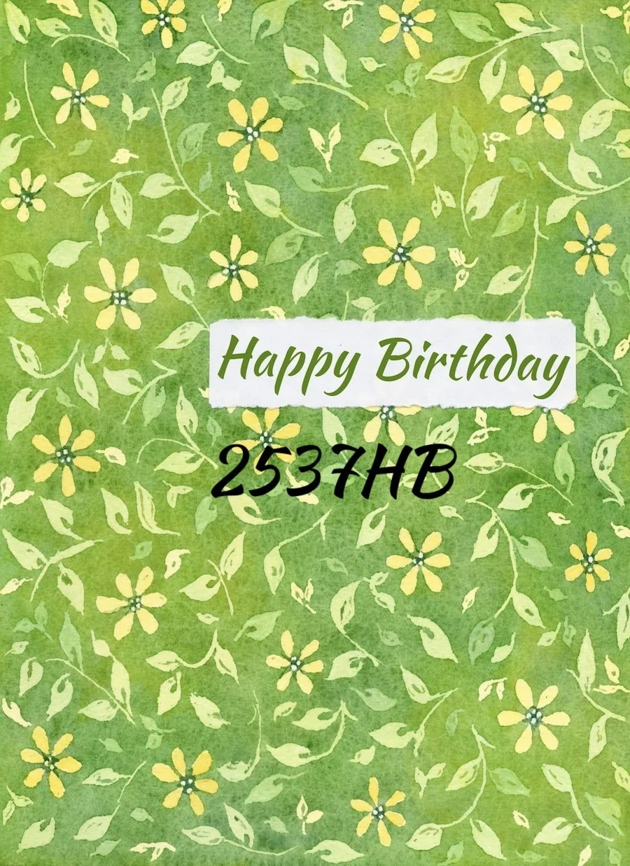 2537HB copy.jpg