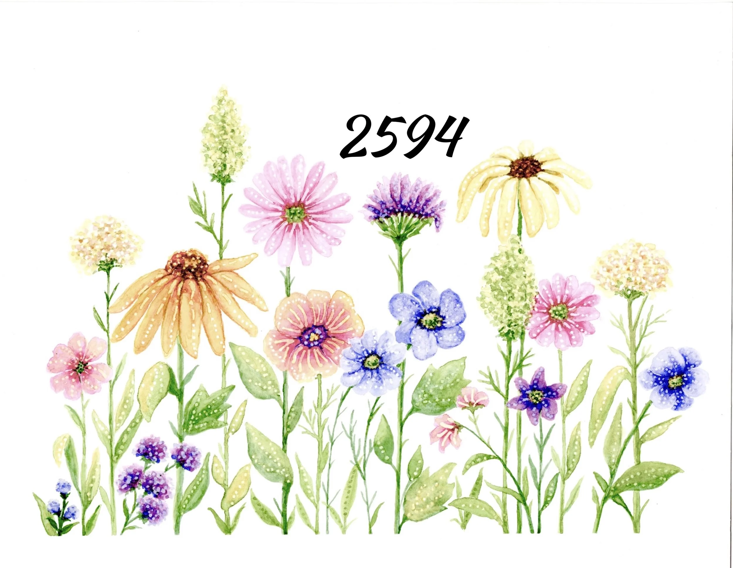 Wildflowers 2594 copy.jpg