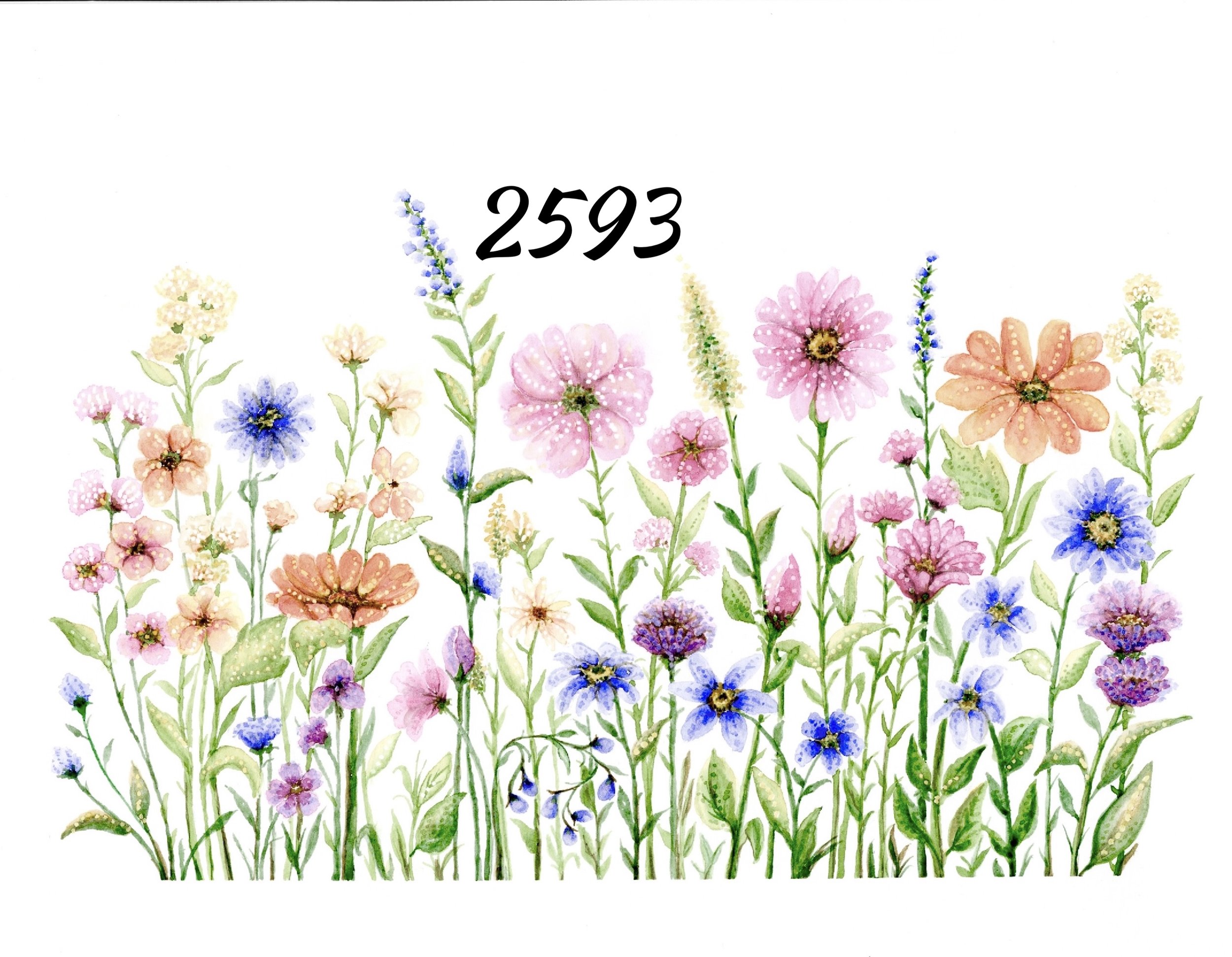 Wildflowers 2593 copy.jpg