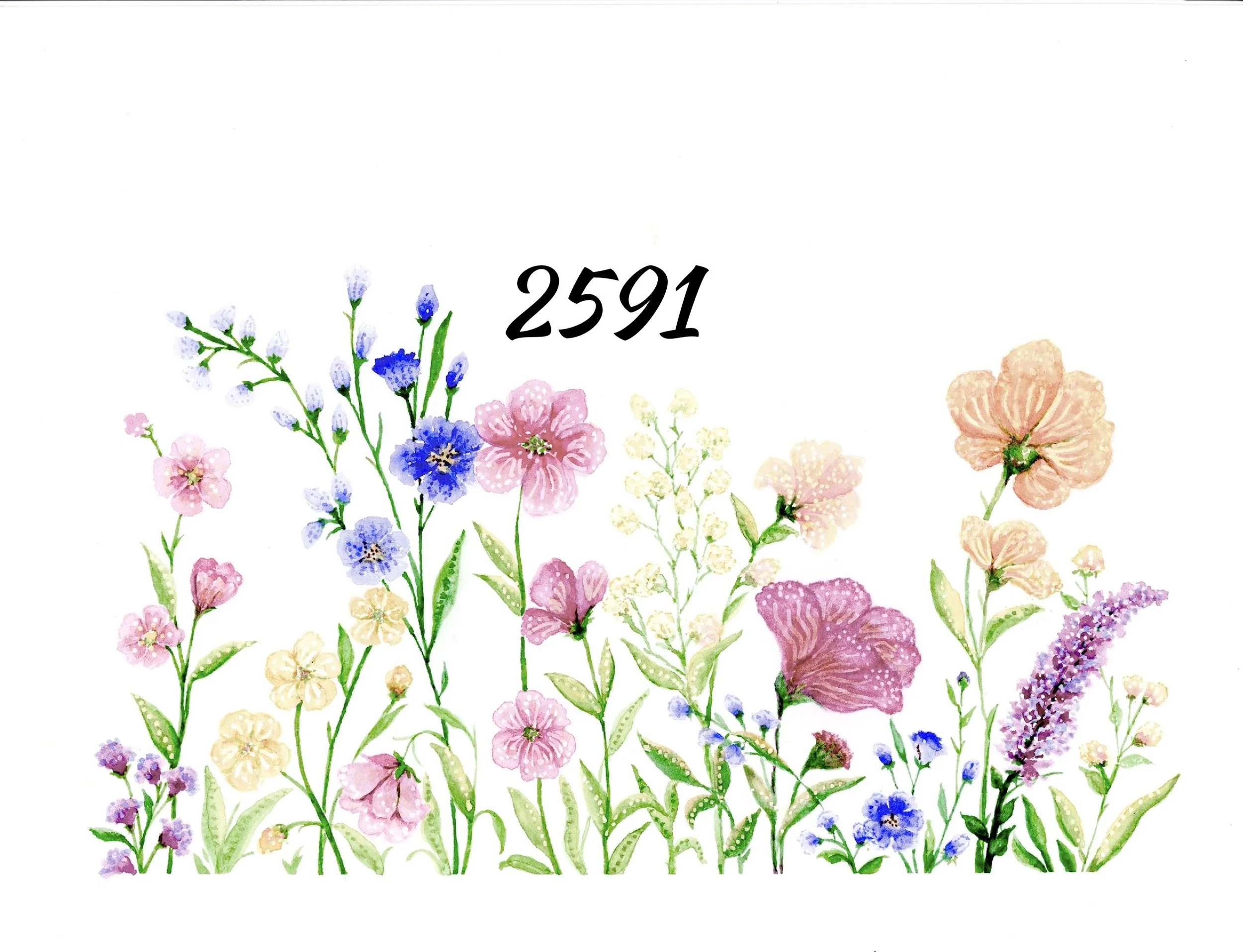 Wildflowers 2591 copy.jpg