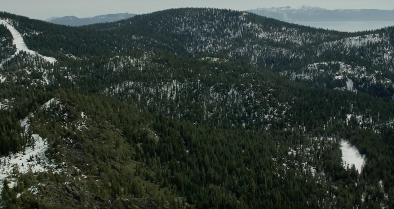 Catch our clip in a snowy, podcast mystery: Up and Vanished!