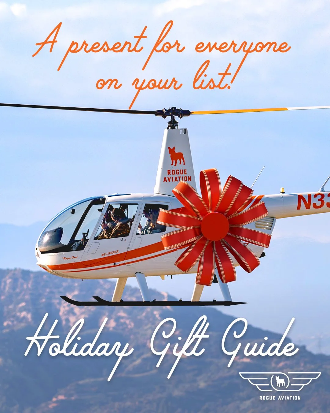 Rogue Aviation Holiday 2025 Gift Guide