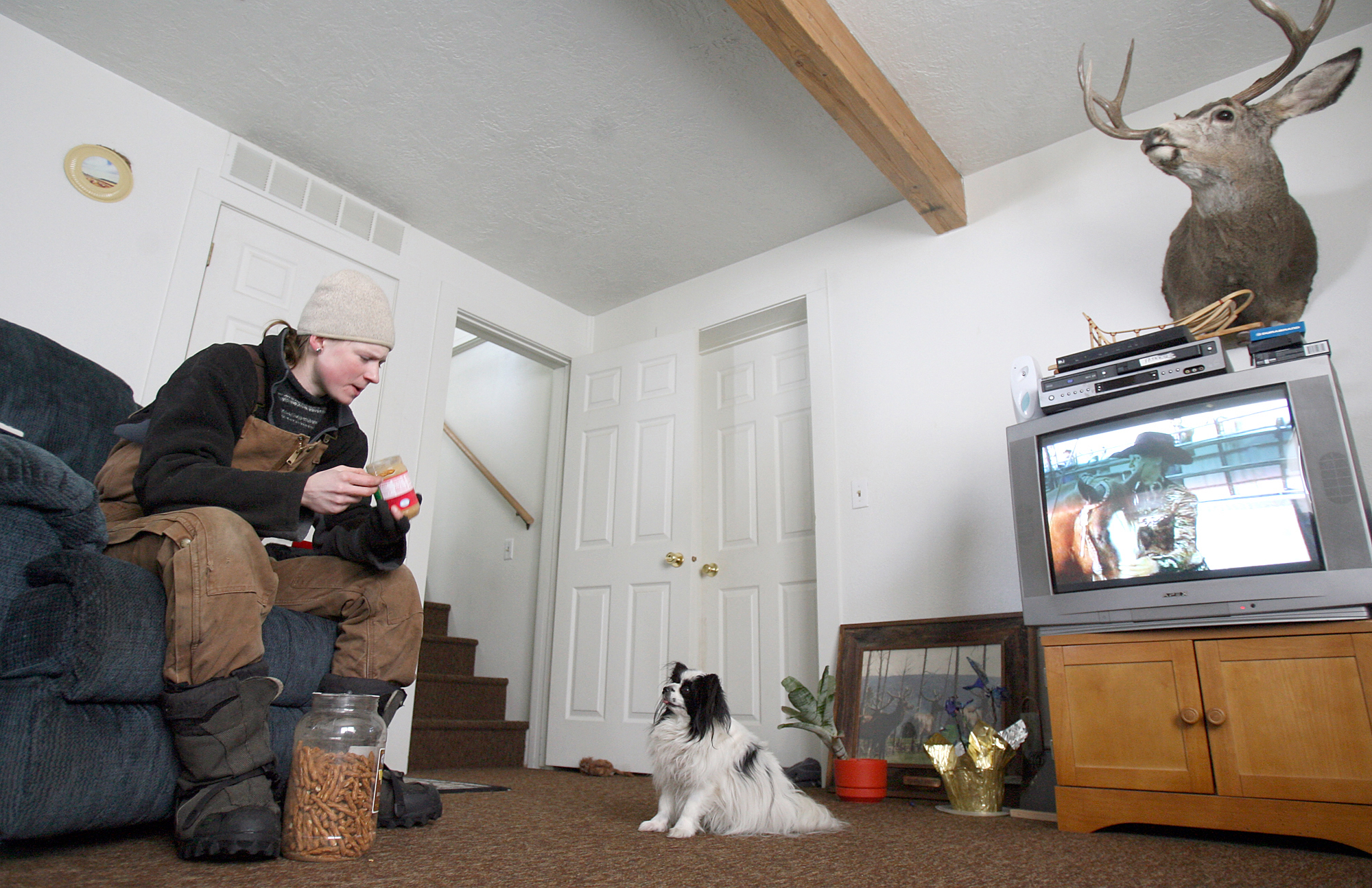 Daugereau takes a break from working with the sled dogs to watch a rodeo on TV at her partner's house in Sand Coulee, Montana while Ronco, one of the house dogs, begs for some peanut butter and pretzels. Because she is so busy, she rarely eats a full meal, preferring to snack throughout the day.