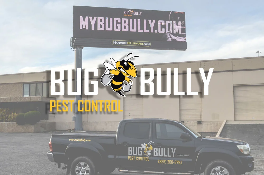 mybugggg.jpg