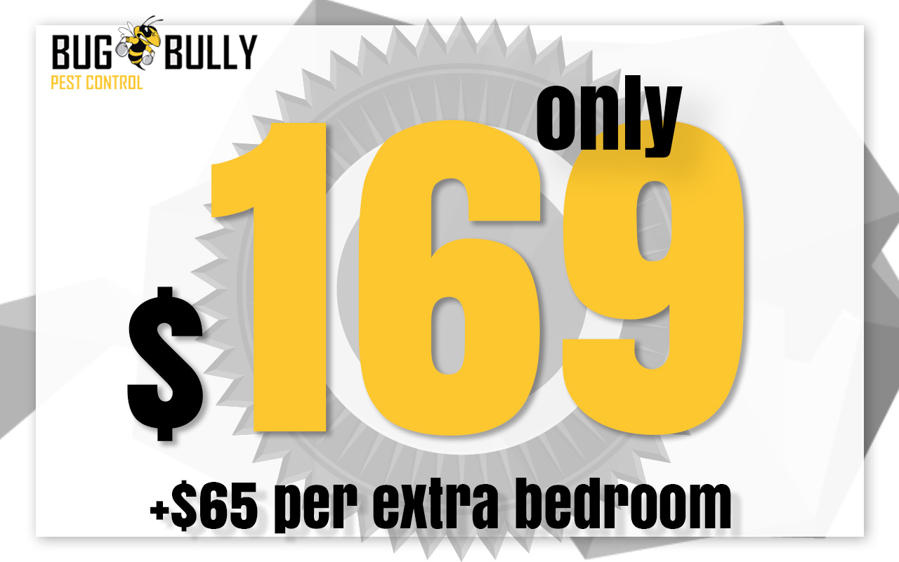 Bedbug-exterminator-utah.jpeg