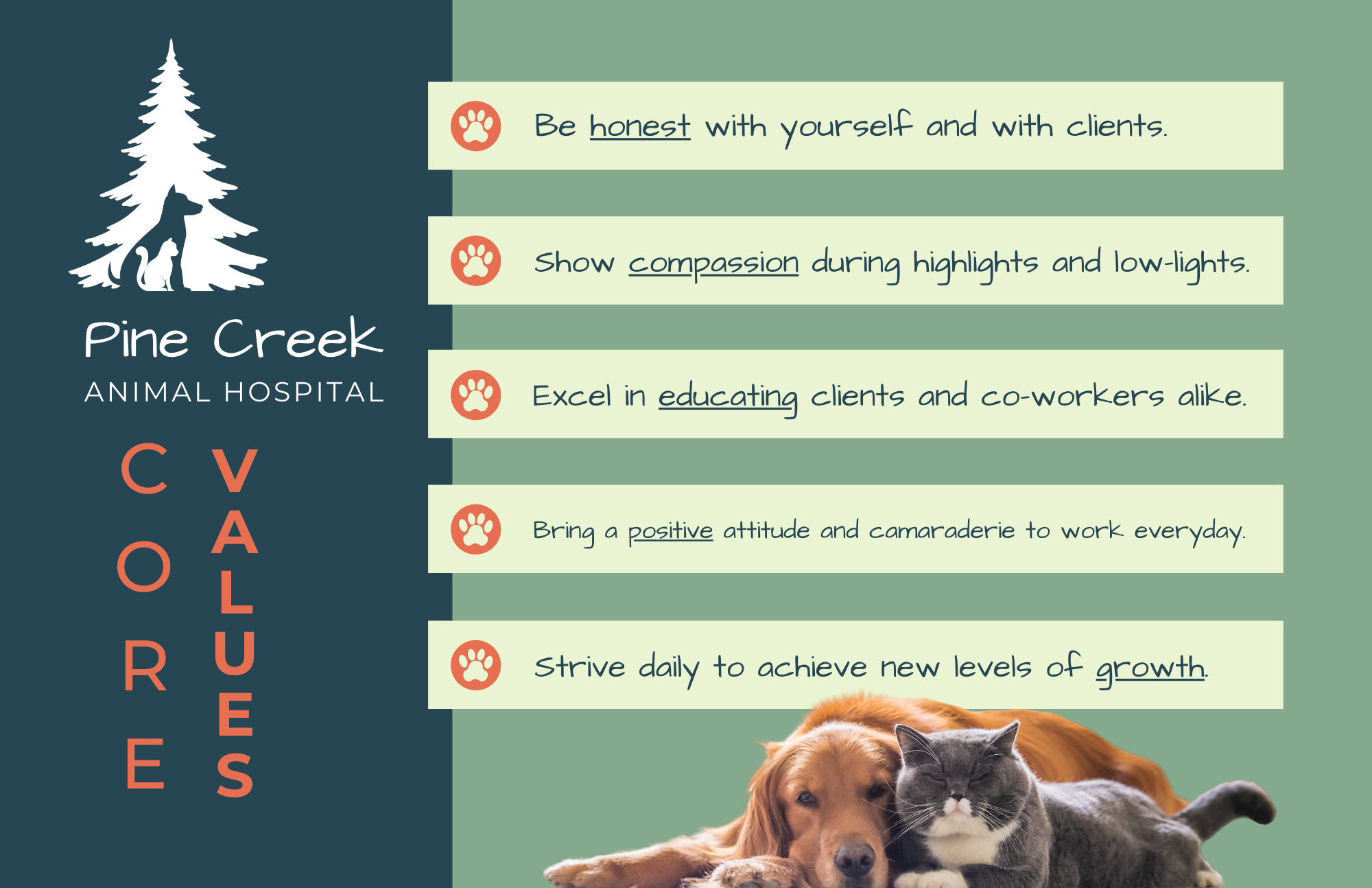 Pine Creek Values .png