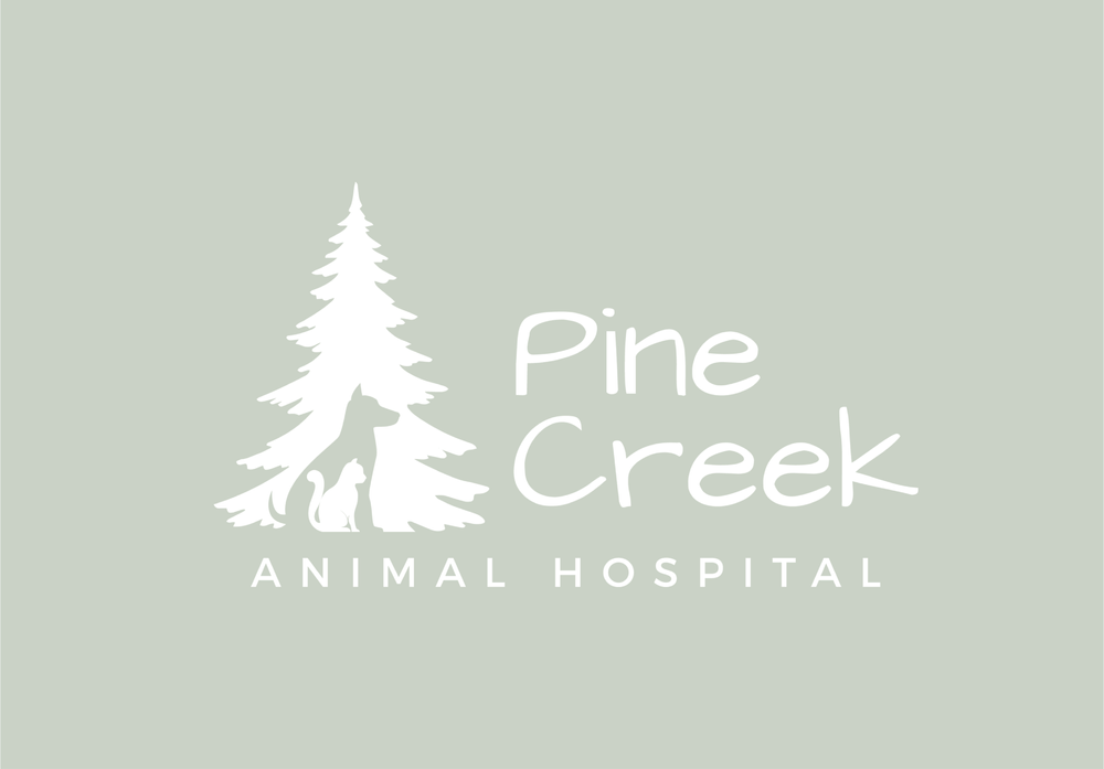 Pine Creek Animal Hospital marketing work