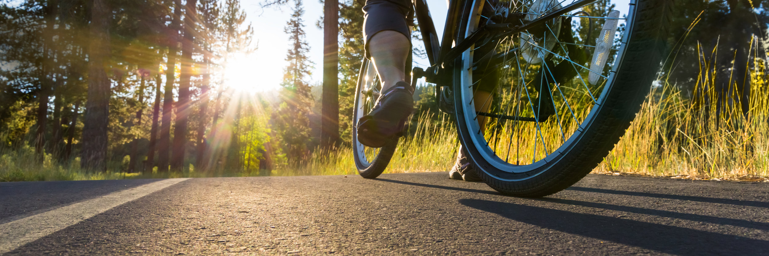 Cyclist.jpeg
